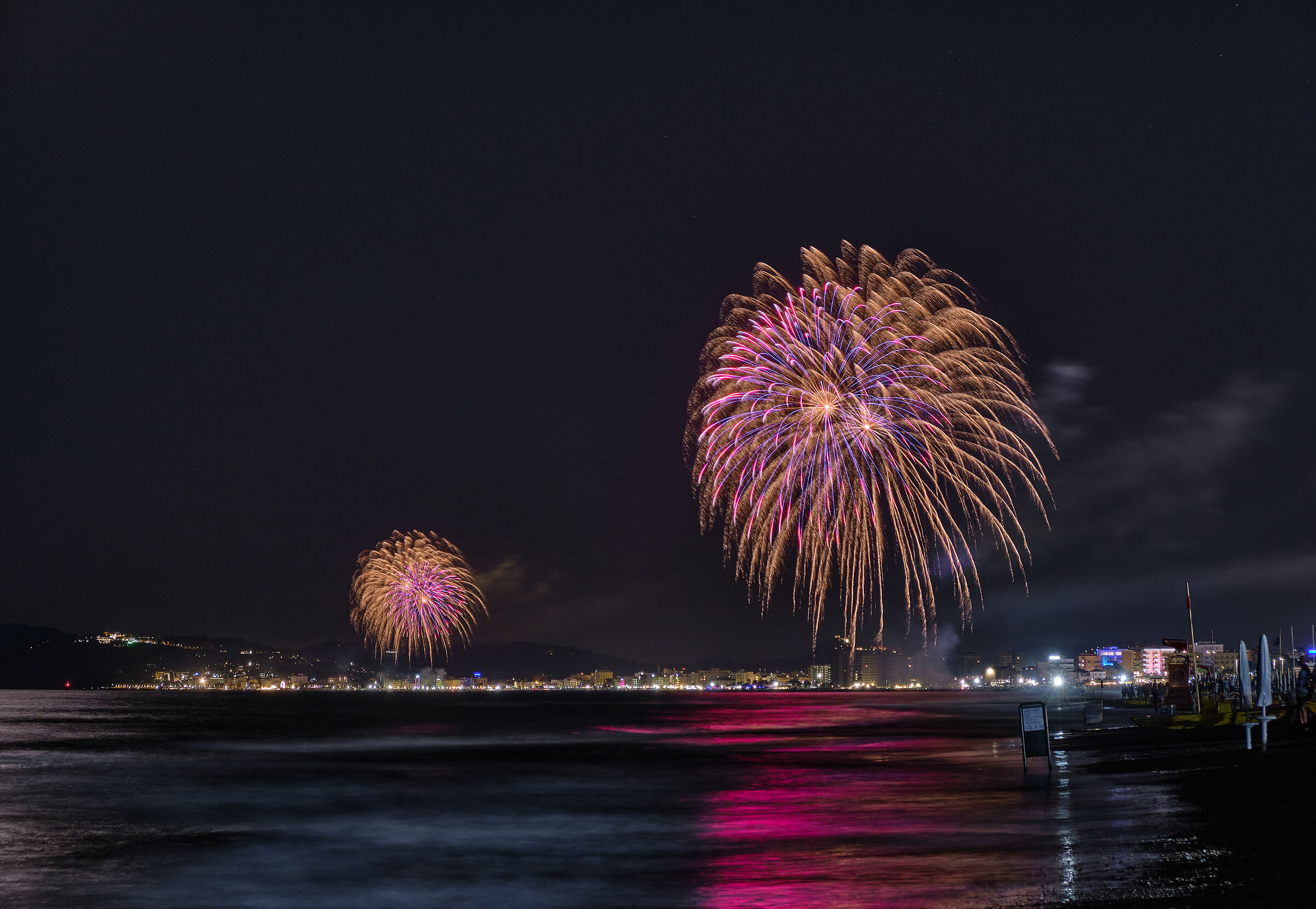 Pink Night 2020 Hedgehog