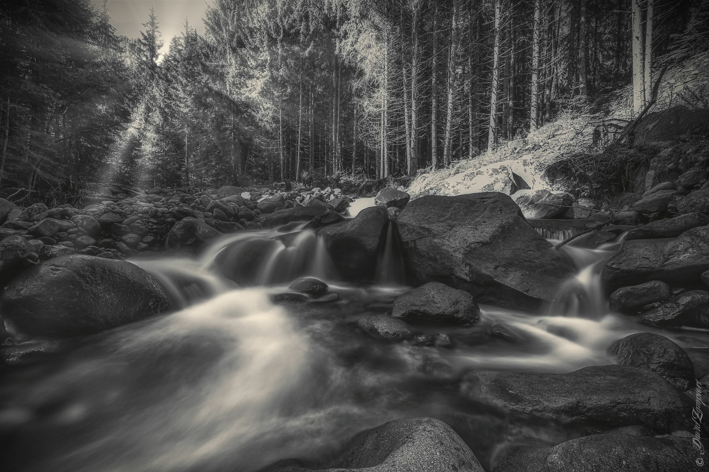 Cavalese - Valdifiemme