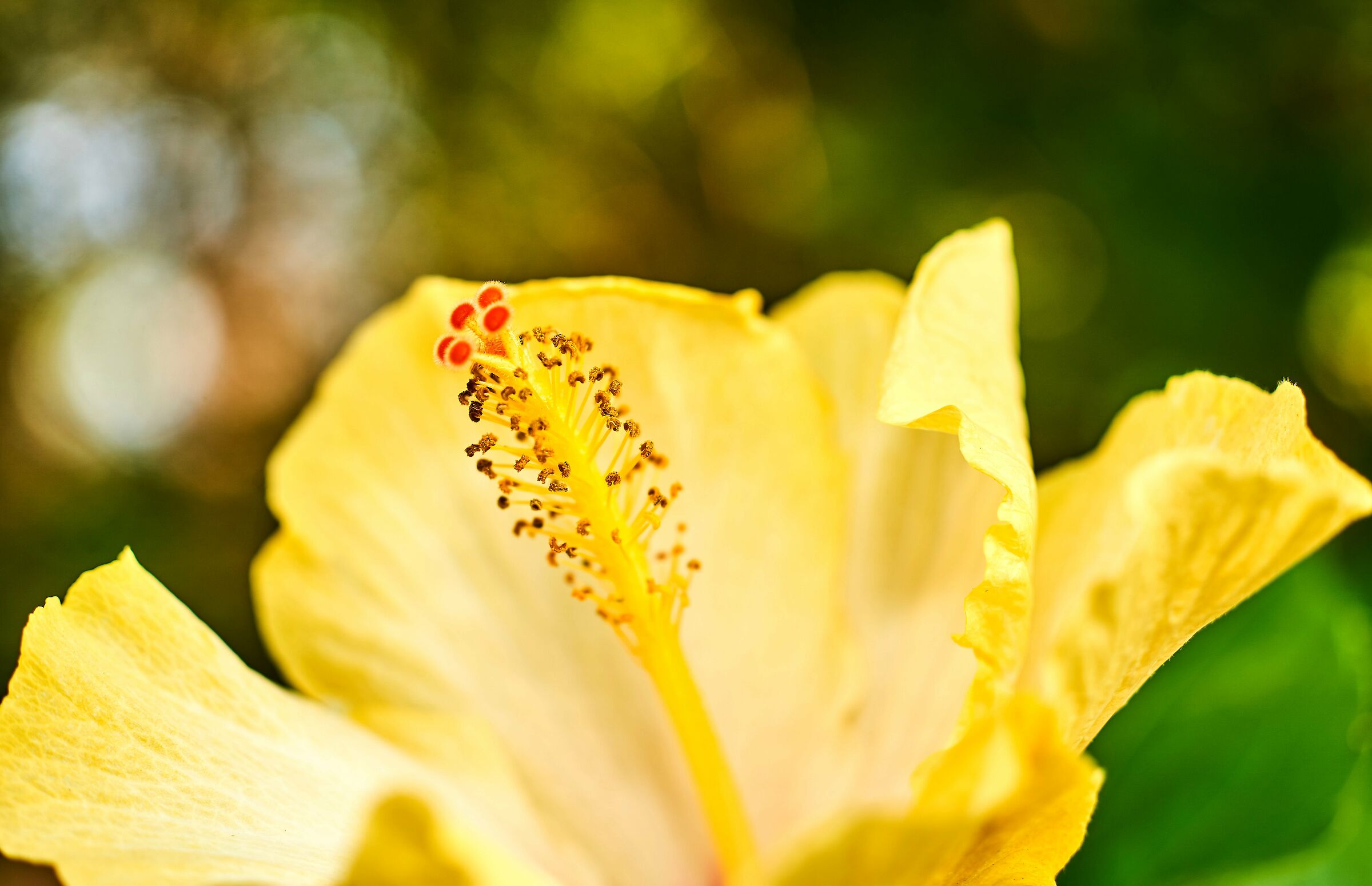 Giocando con il mio nuovo giocattolo vintage