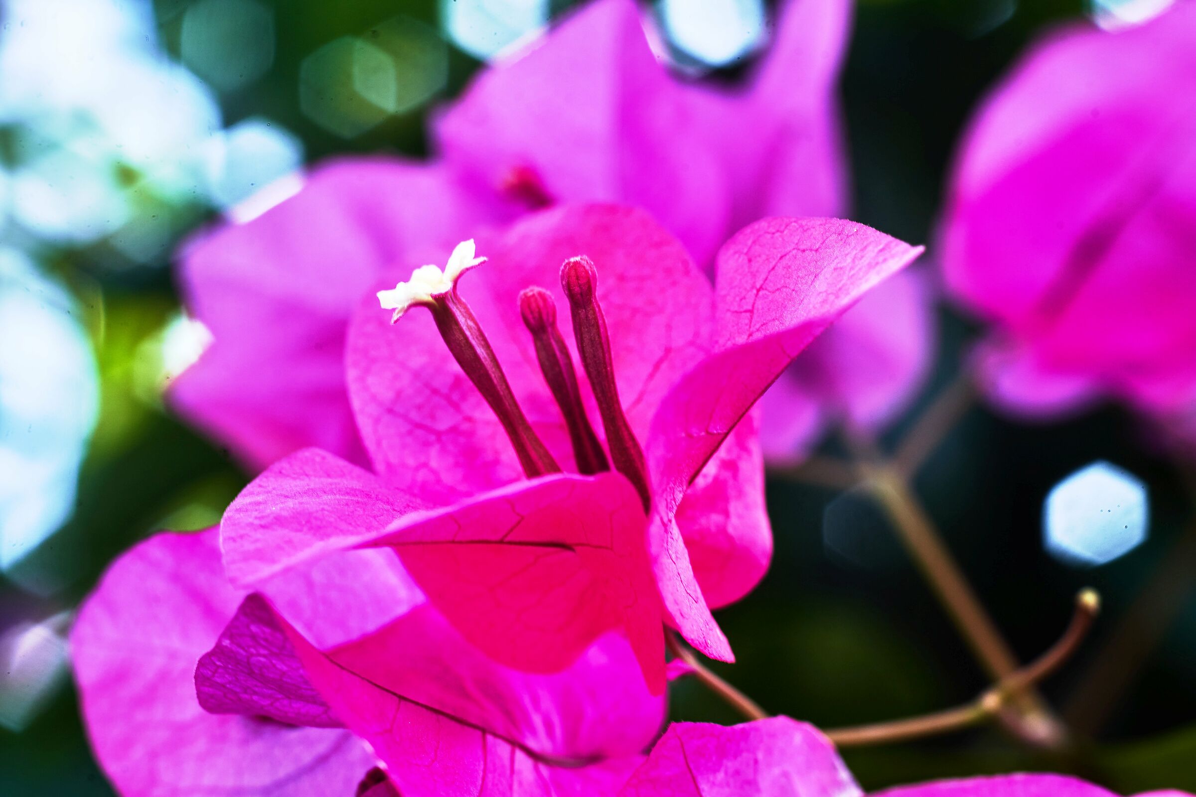 Giocando con il mio nuovo giocattolo vintage