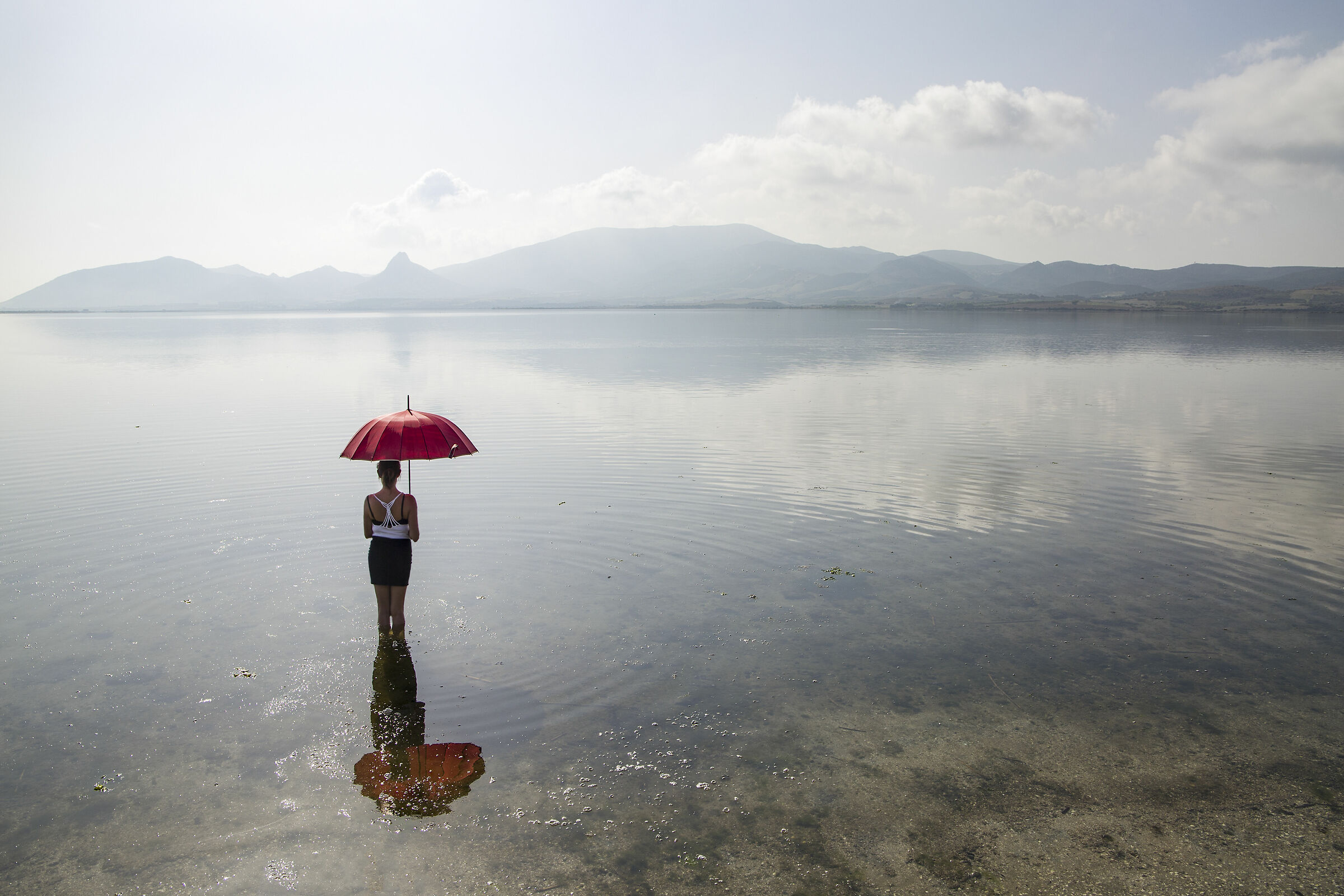 Una "mattina" allo stagno