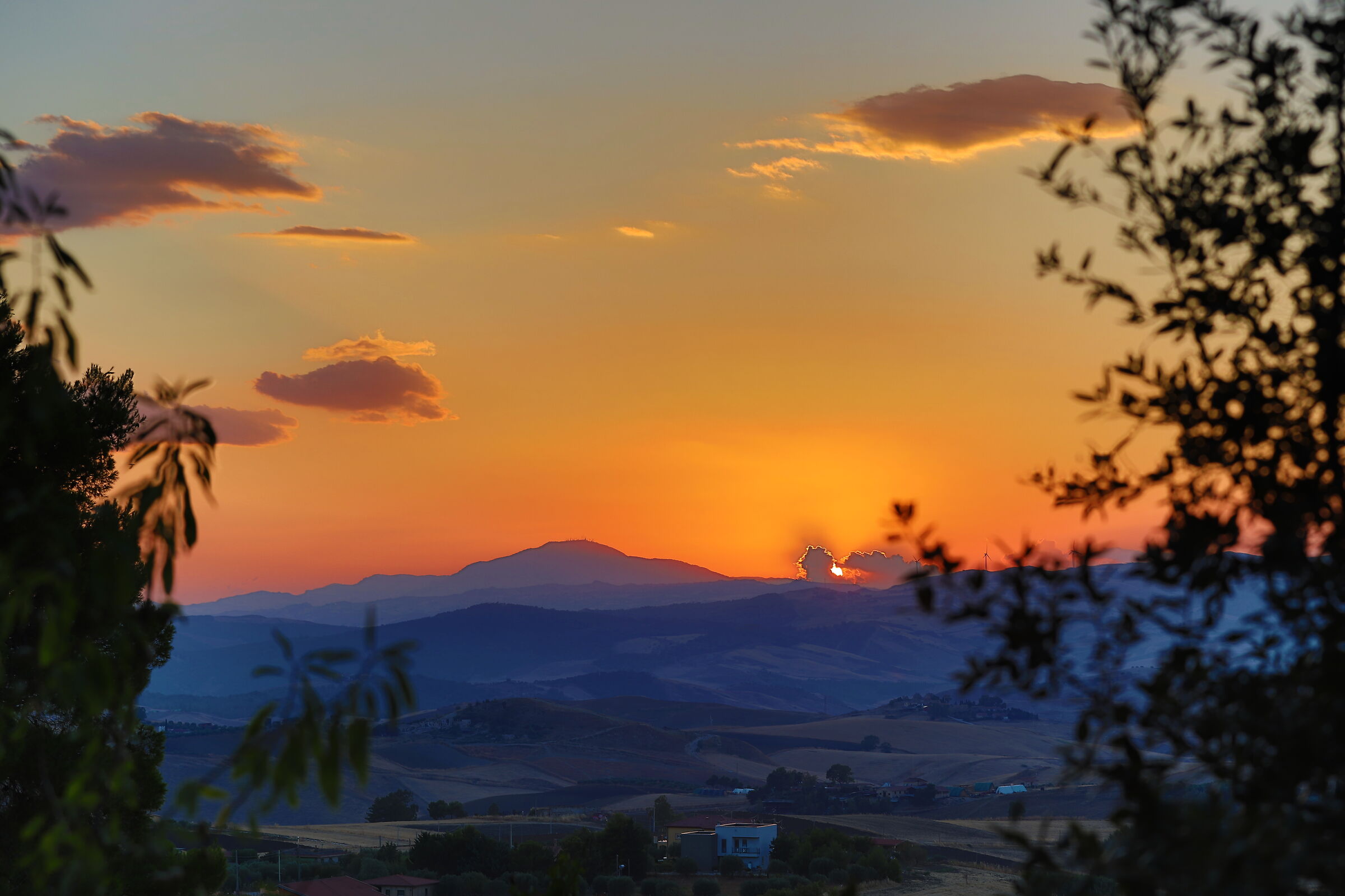 l'8.8.2020 alle 8:00