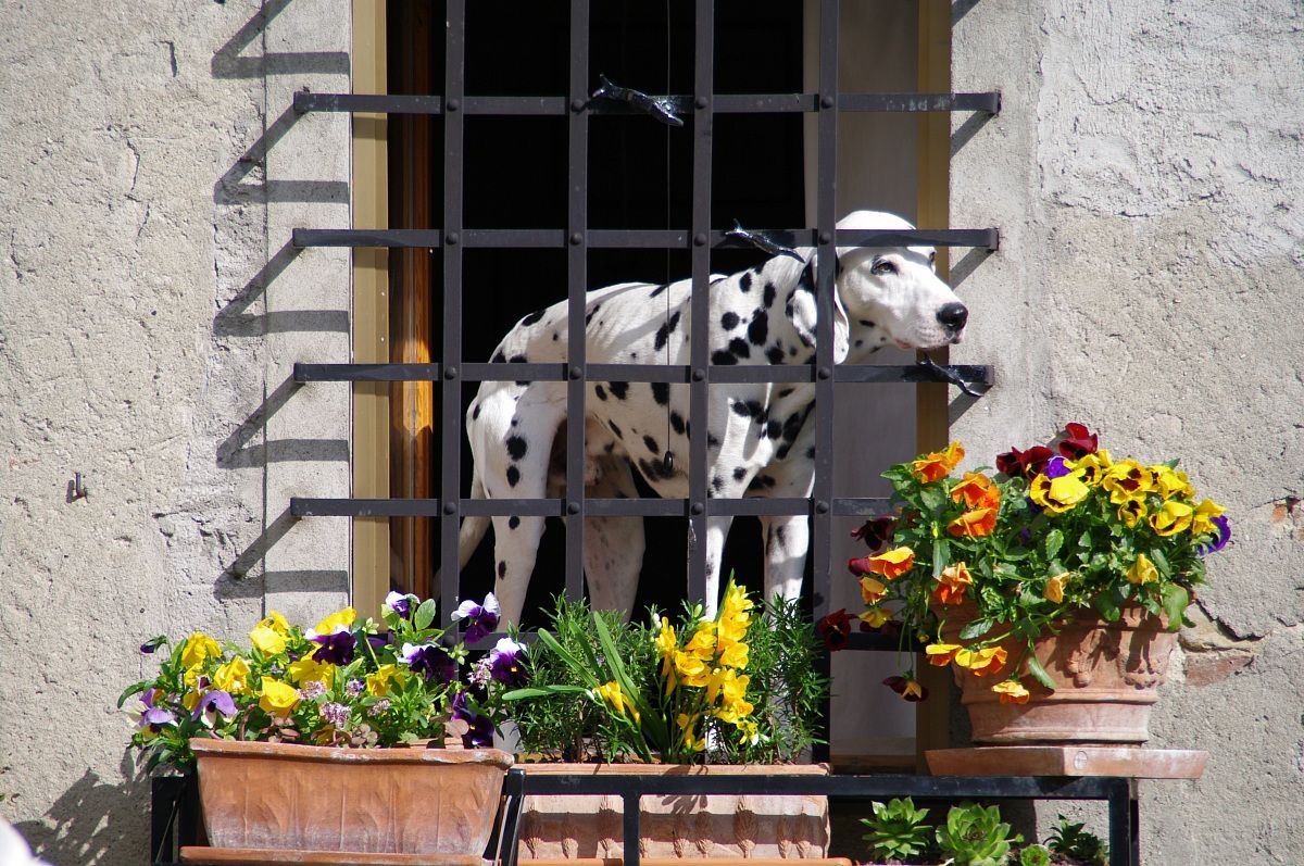 I need to get out .........