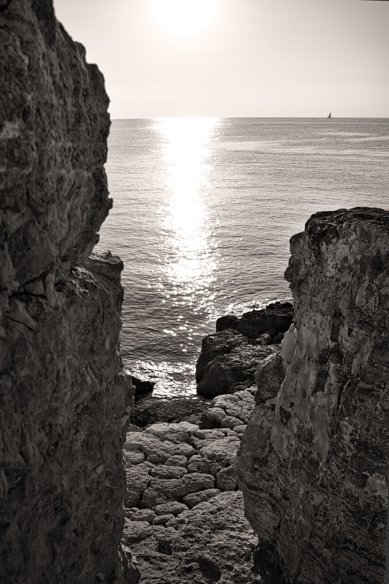 Untitled Photo