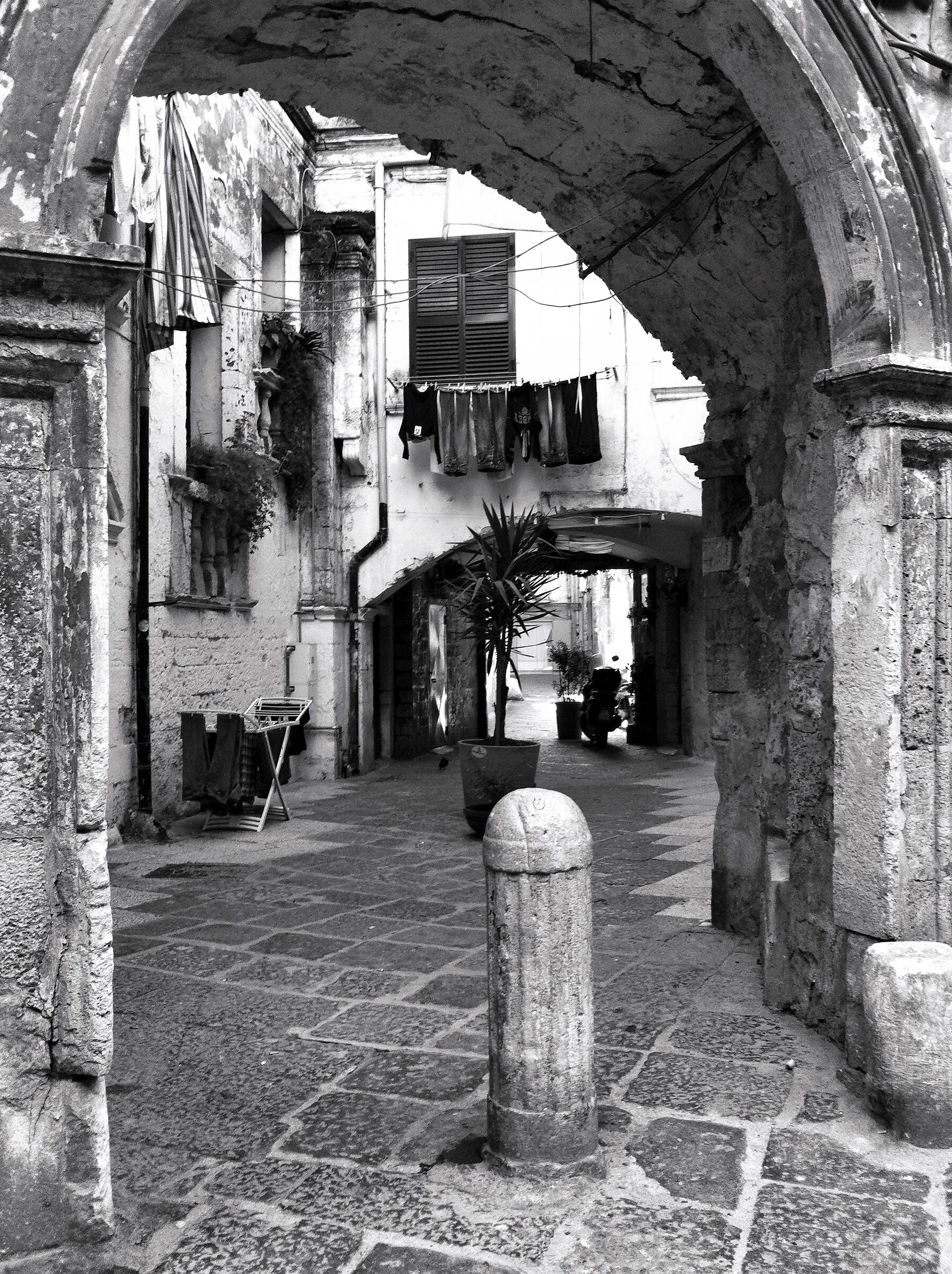 Untitled Photo