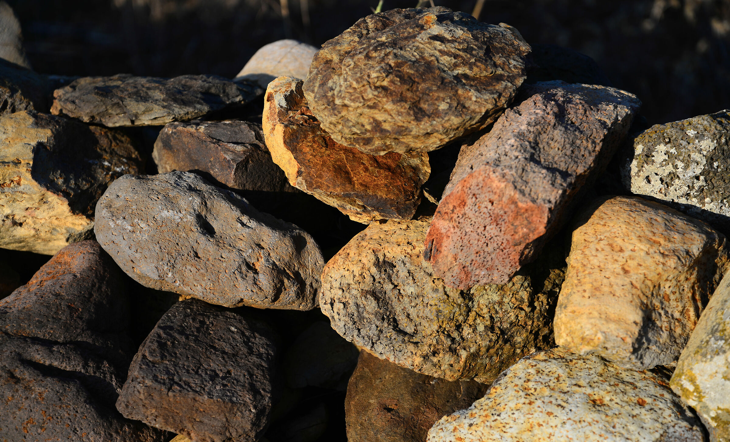 I frutti del vulcano Ustica 8.8.2020
