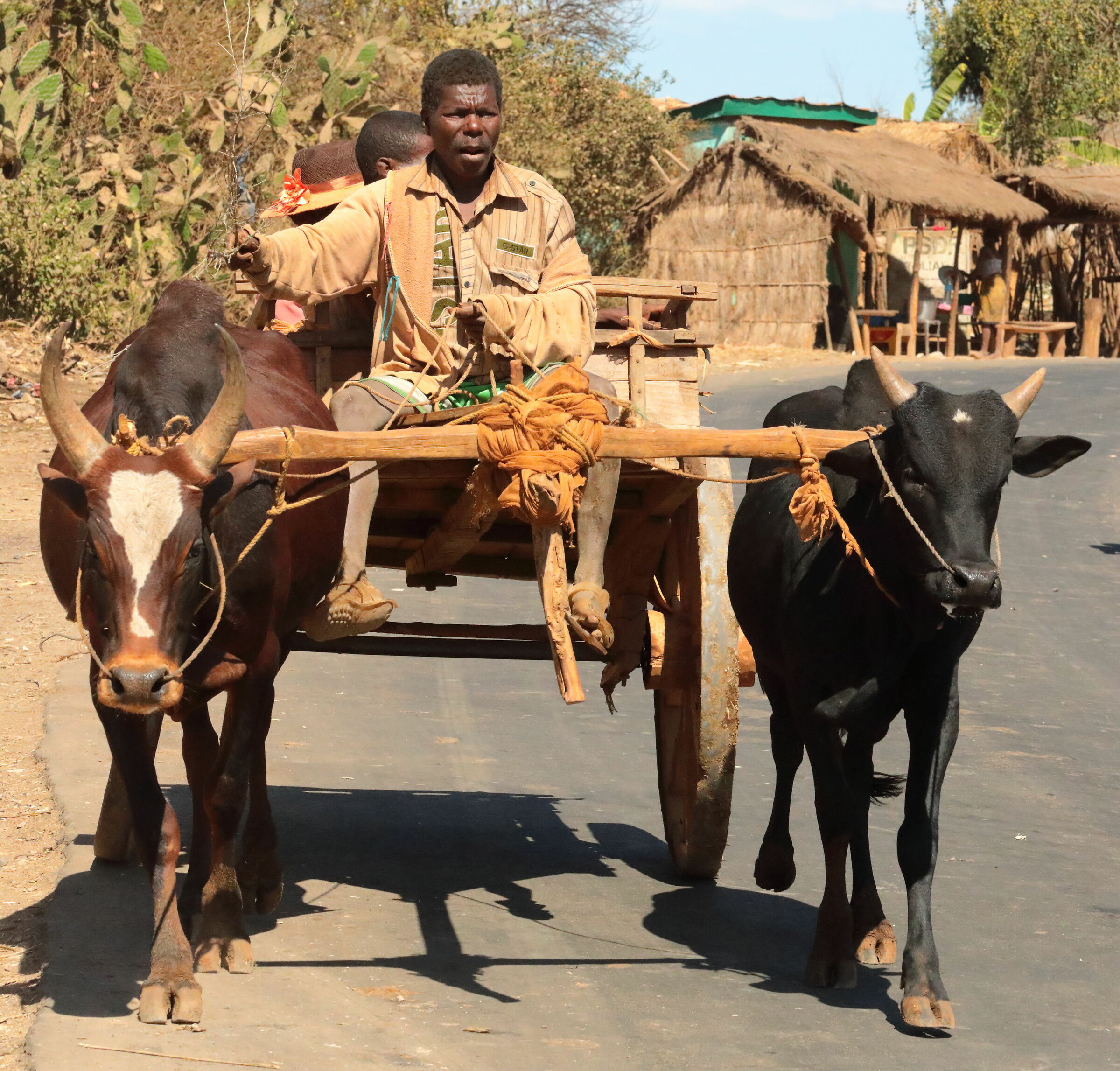 bara peasant with his cart