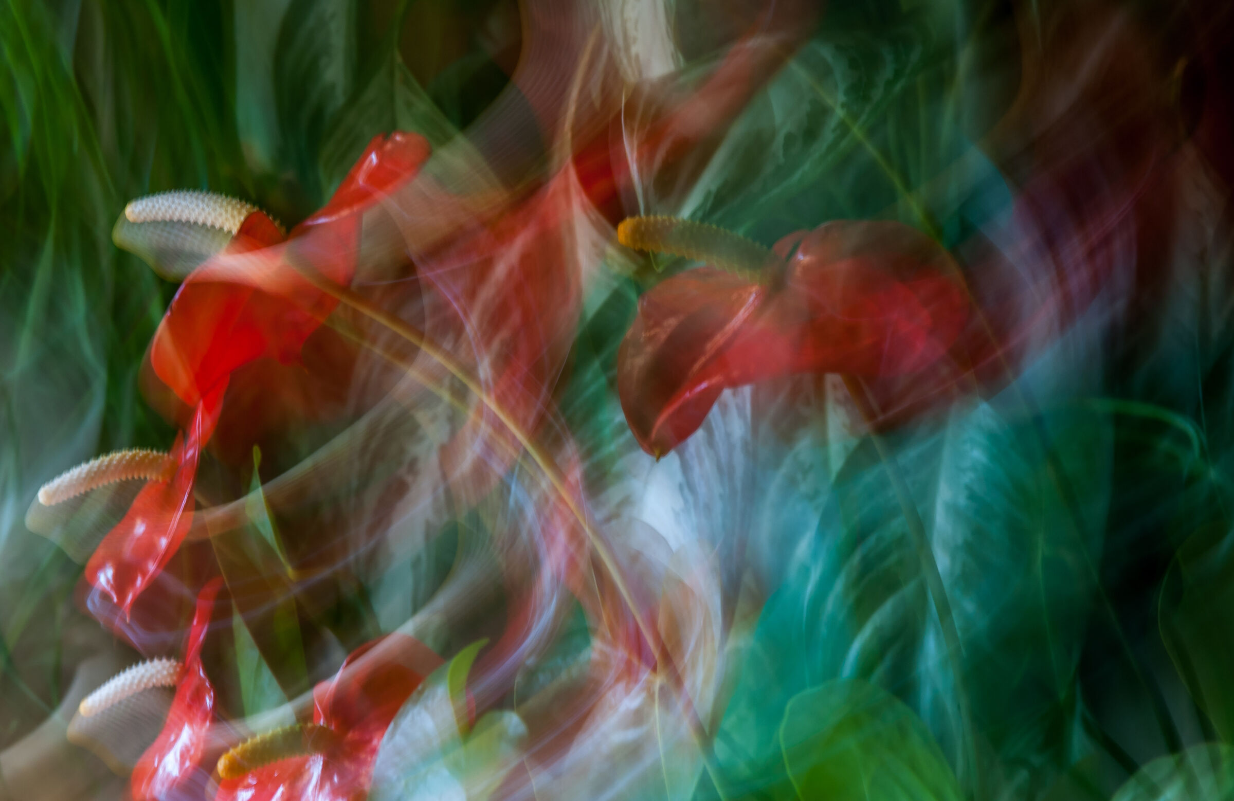 Non ho più la mano ferma come un tempo