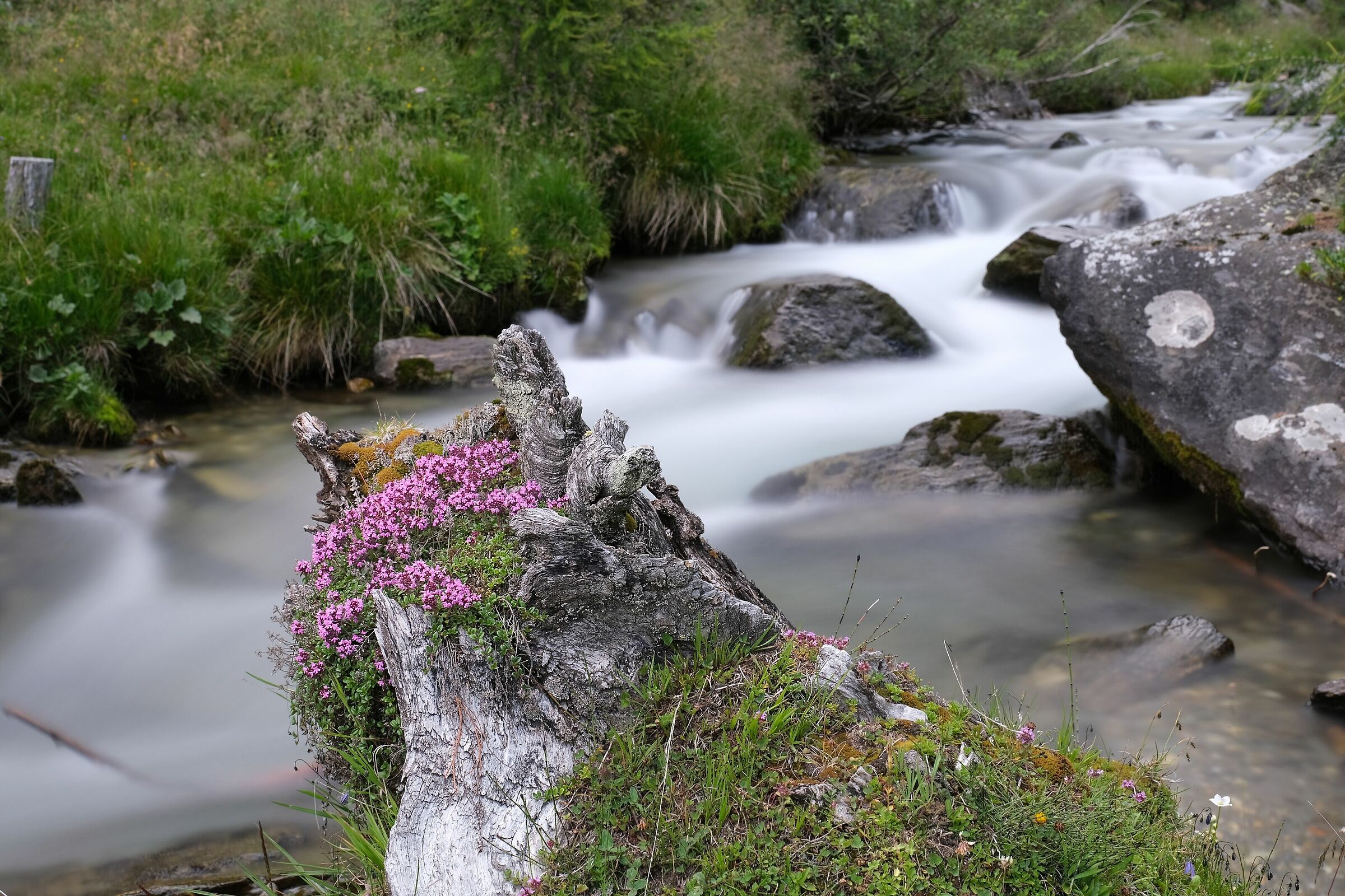 Valley of the Tures Shore Dossi