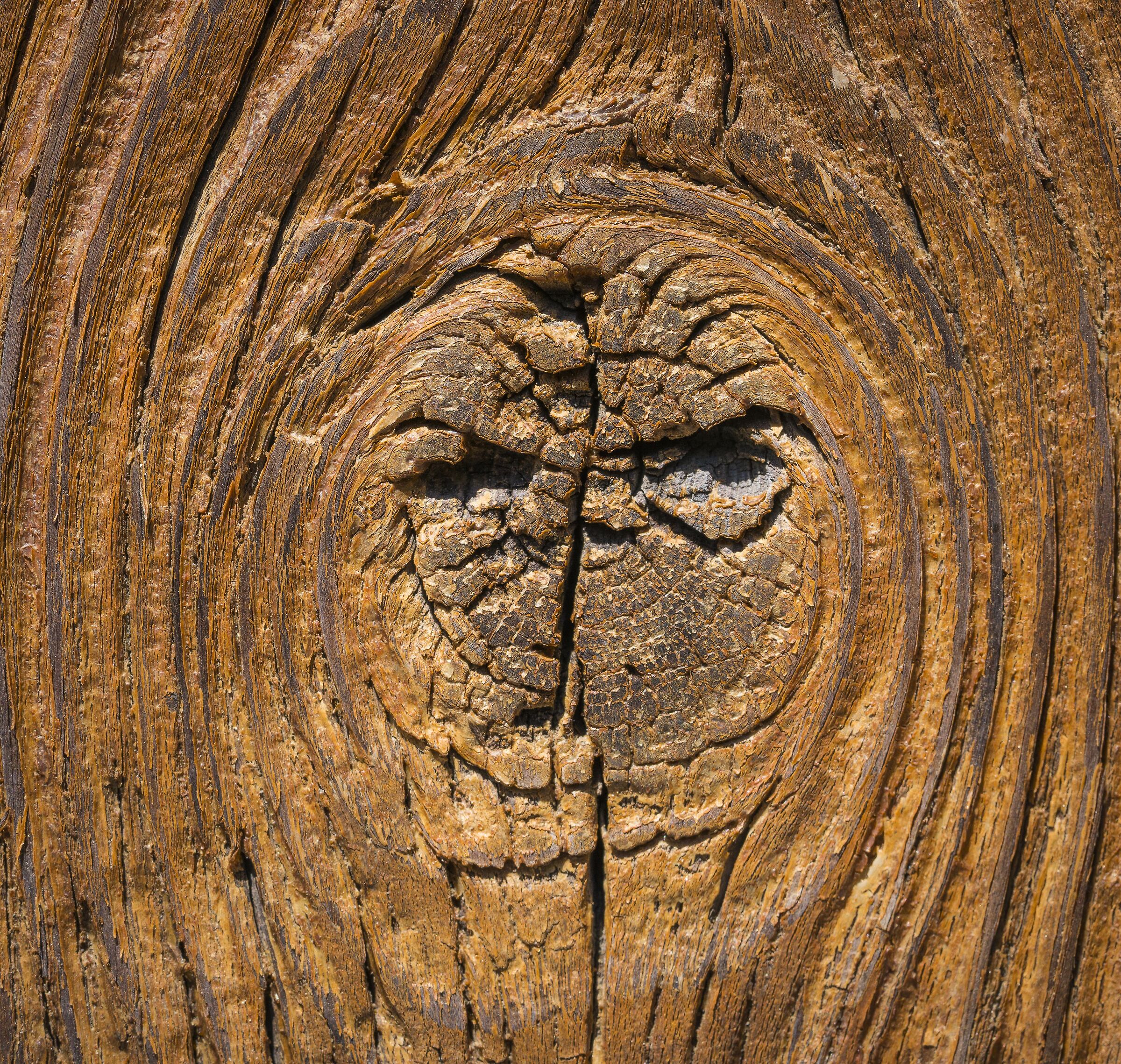 I'll brake your face!