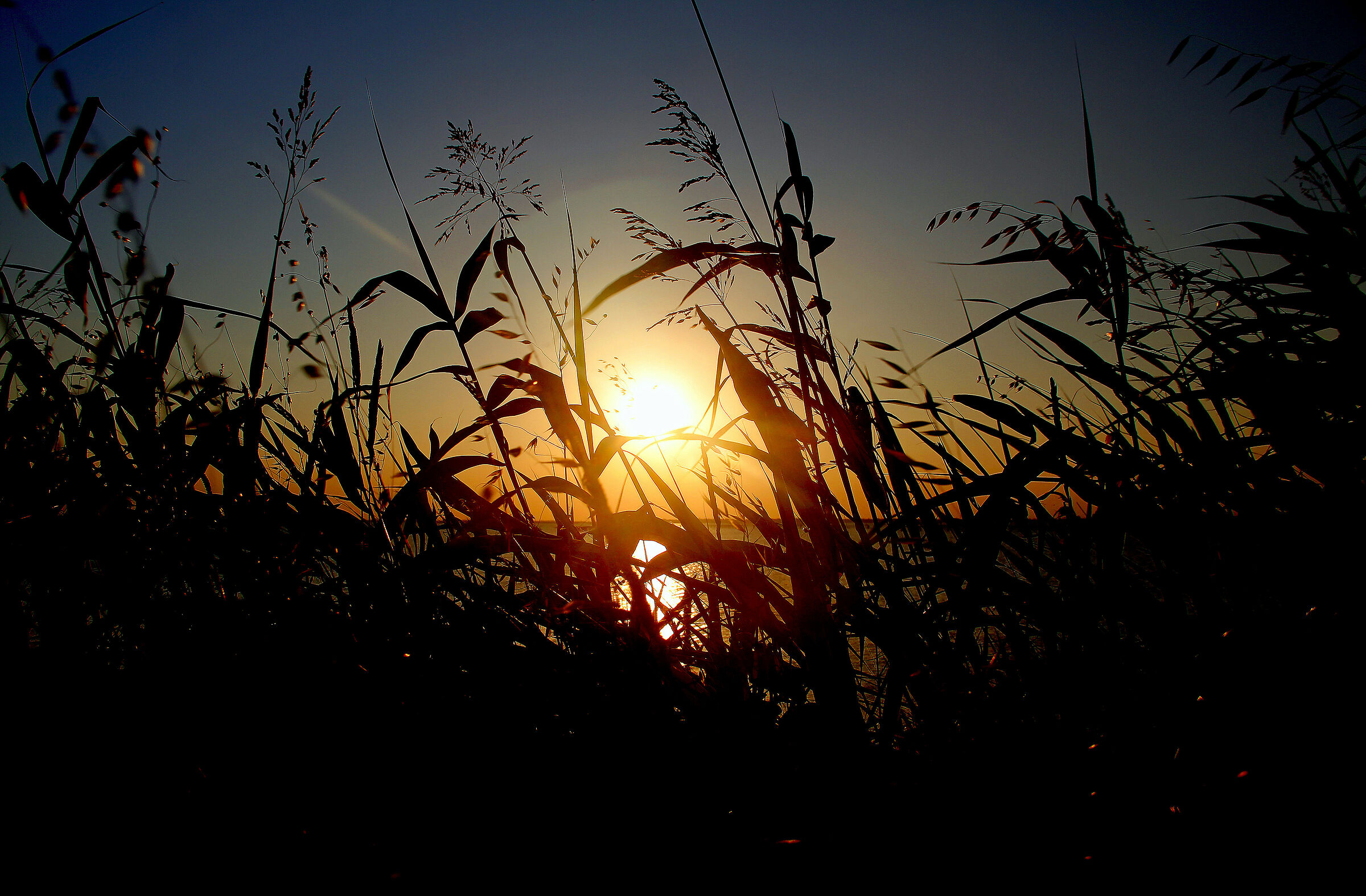 tramonto nella natura