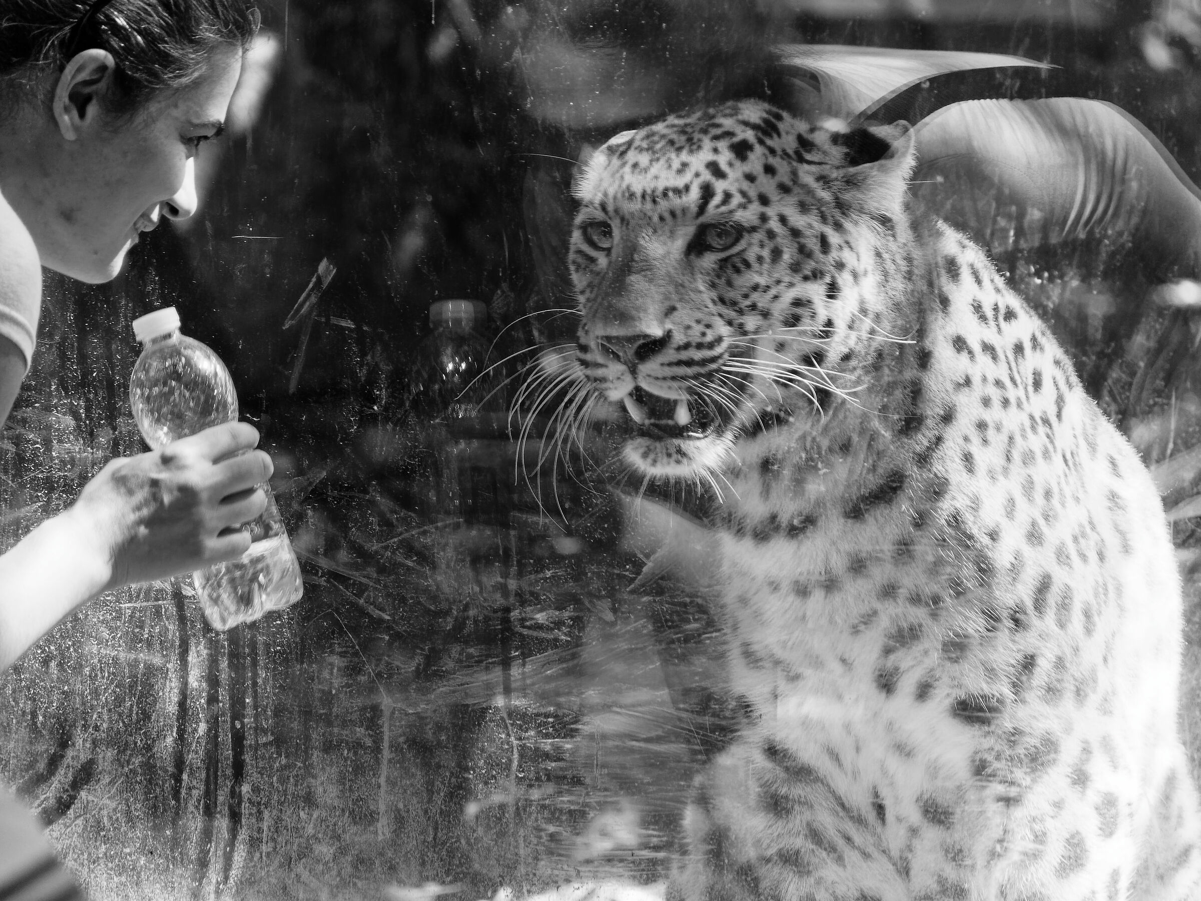 Ad Agosto tutti hanno sete