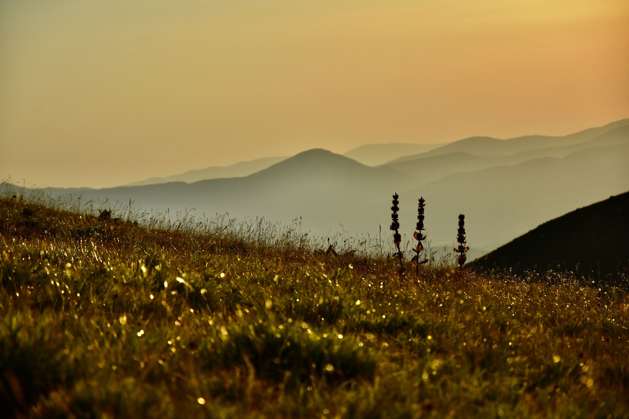 .... in sul calar del sole