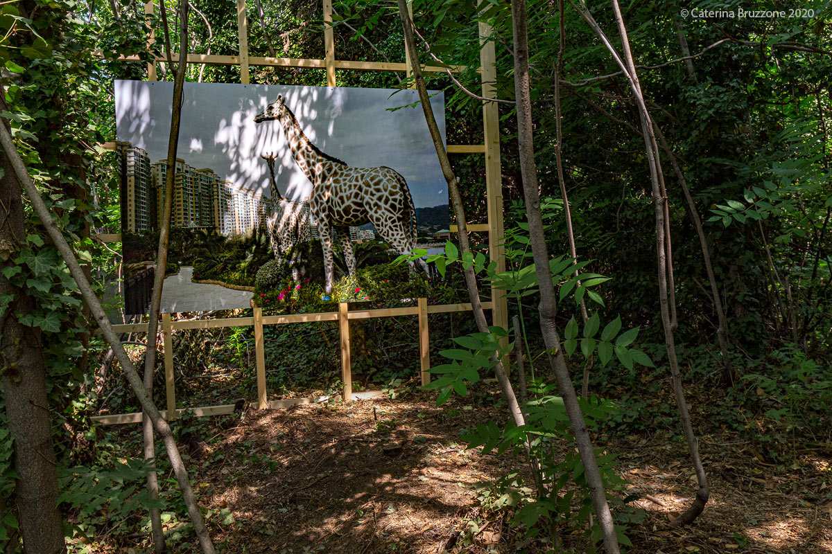 Arles: les rencontres de la photographie 18