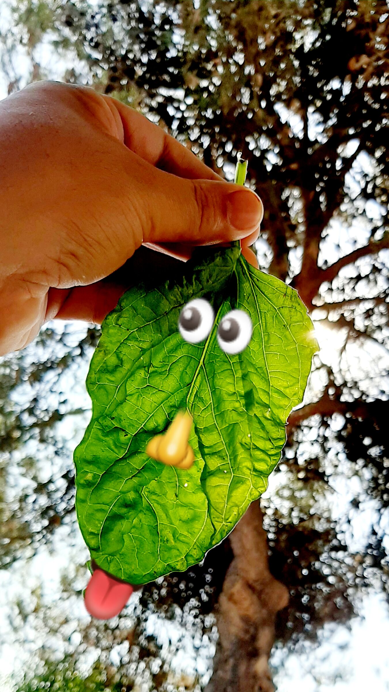 Every one of us has its own leaf.