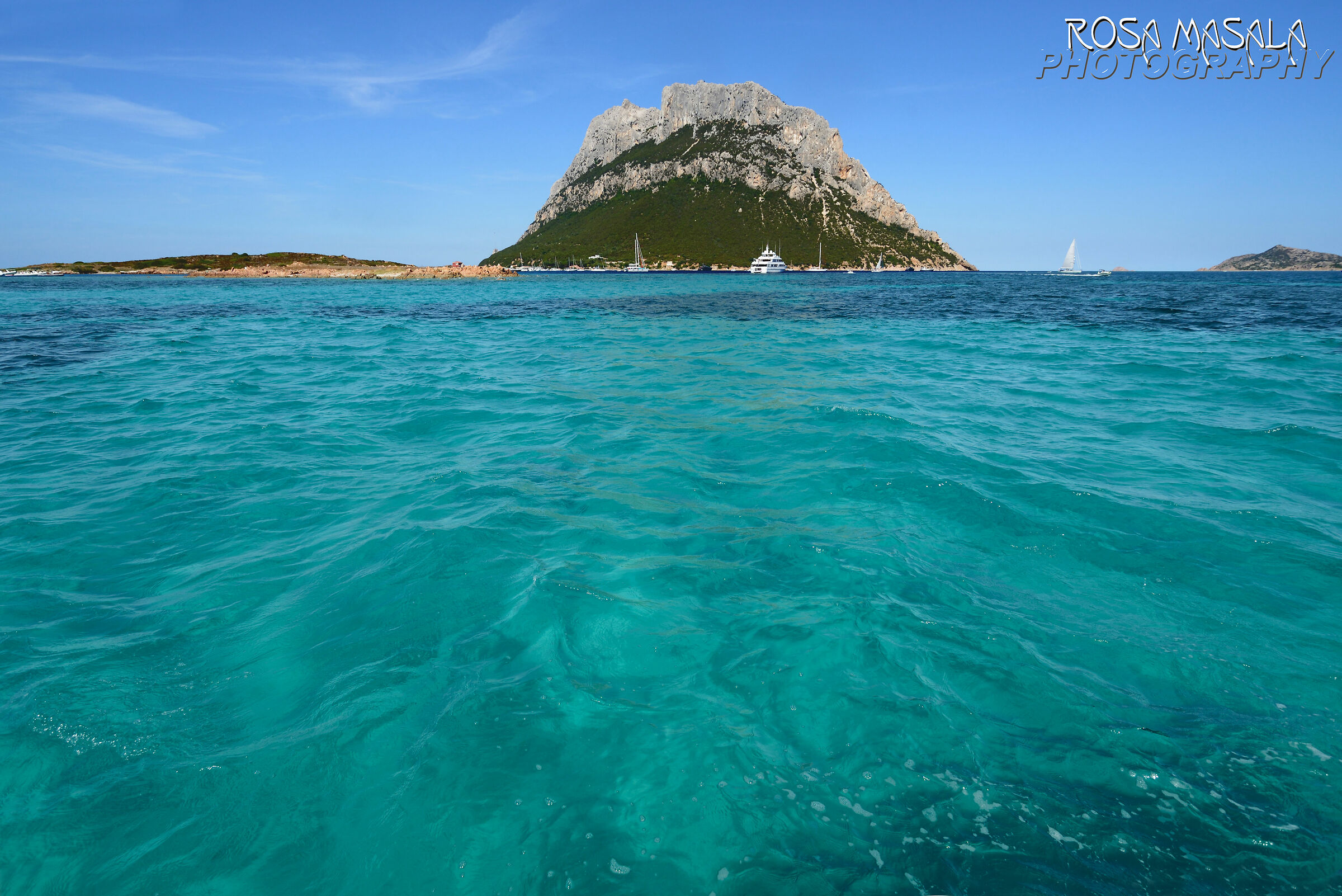 Sua Maestà tavolara