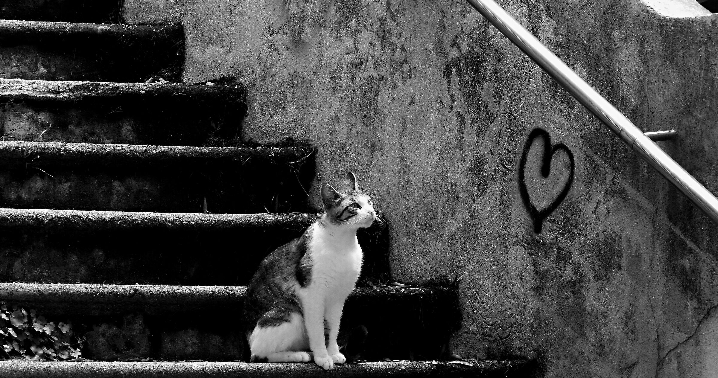 Aspettando il suo Romeo