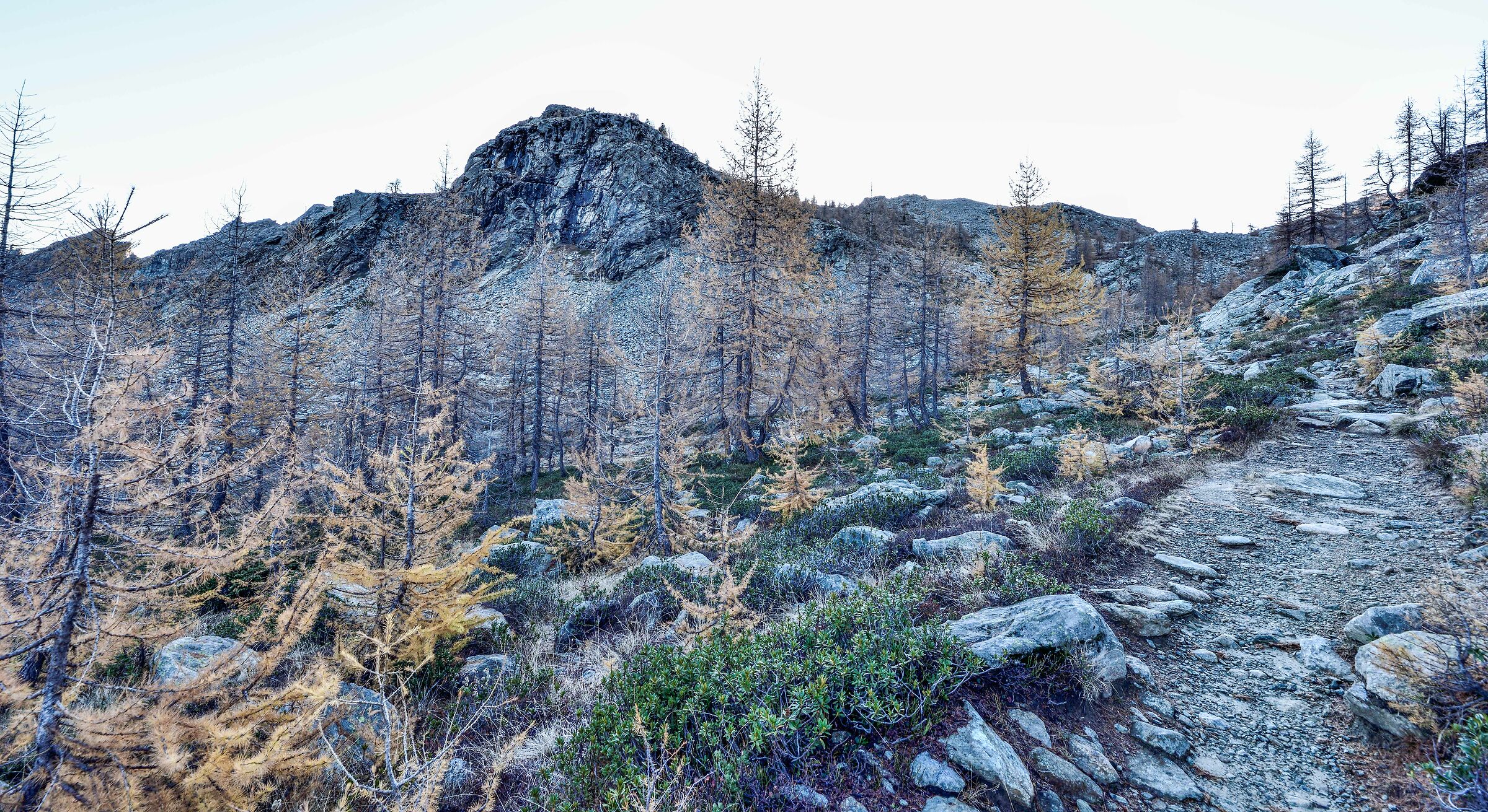 sul sentiero in ombra in discesa verso il rifugio