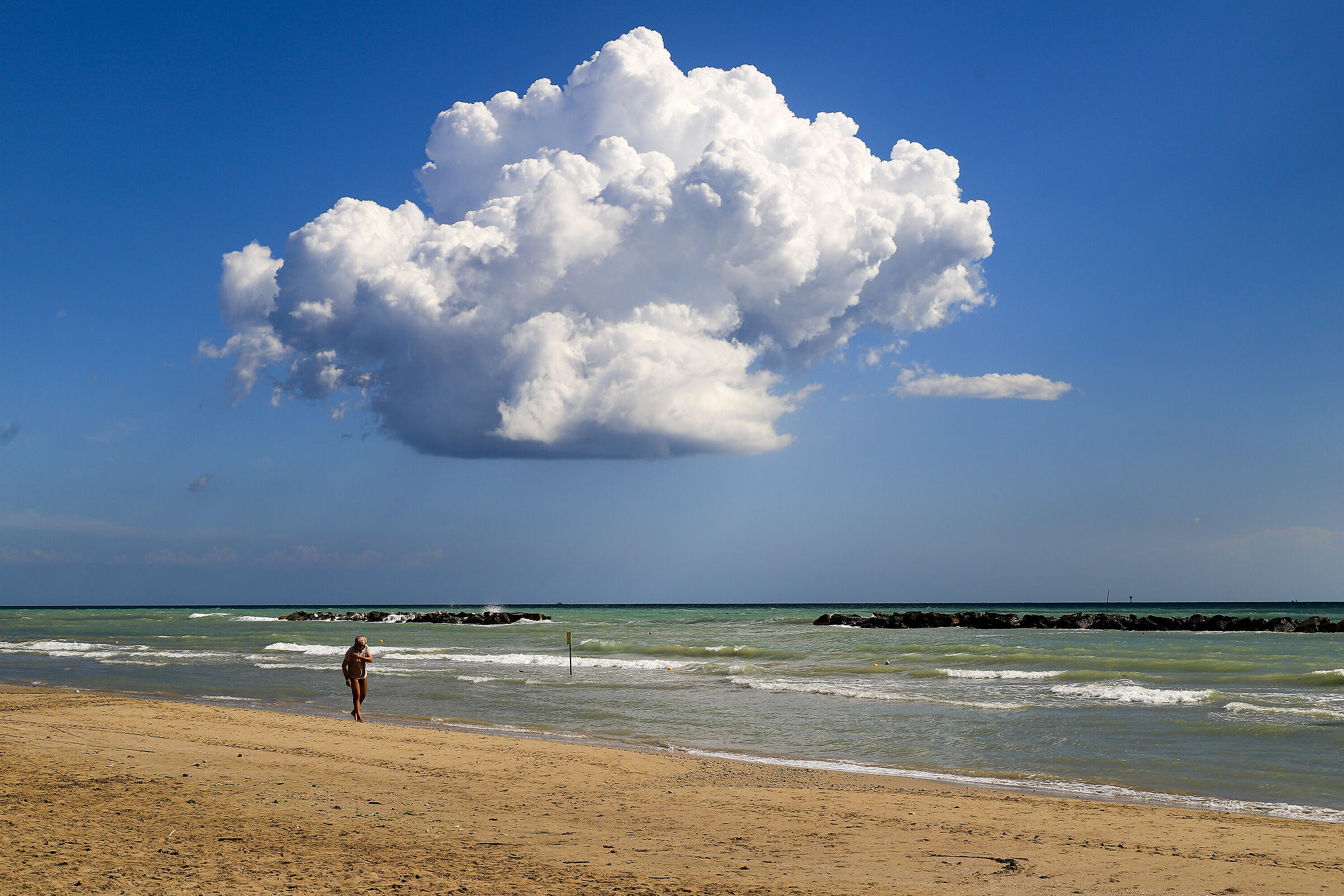 The Accountant's Cloud