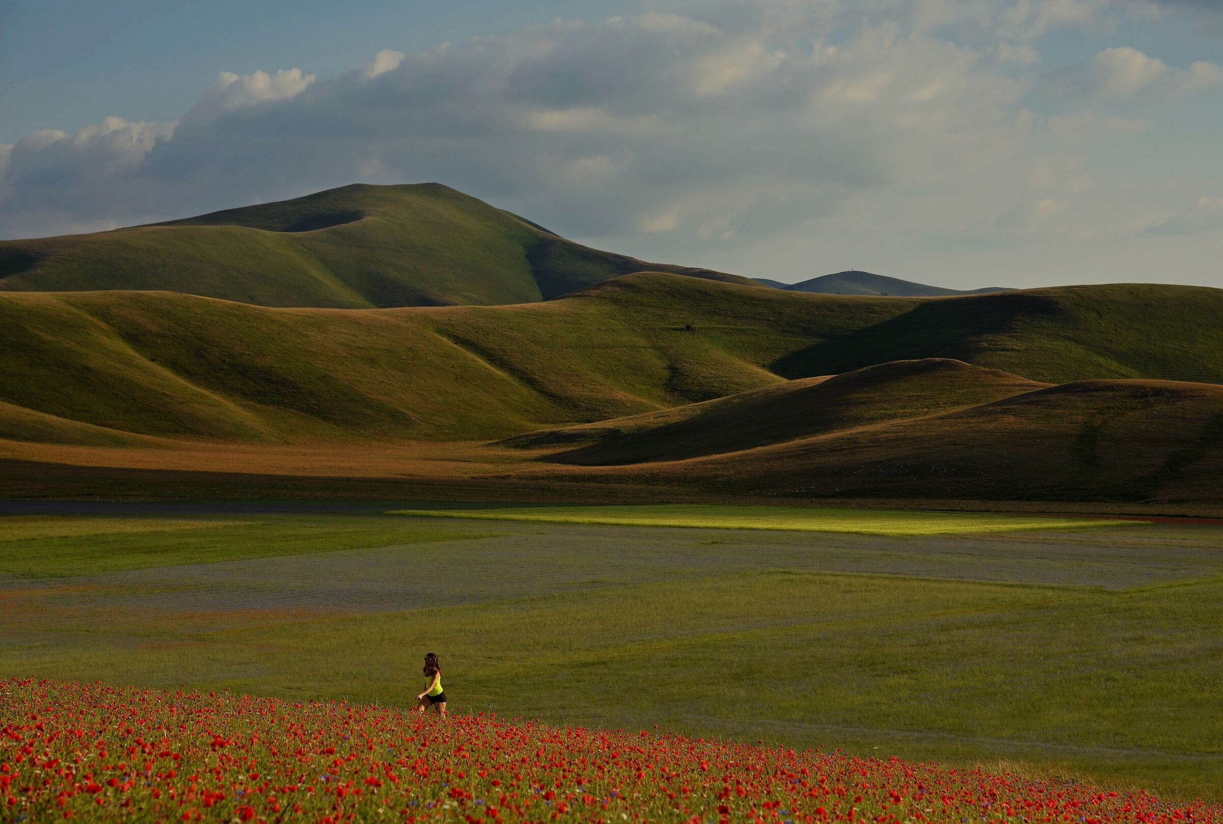Color Trekking