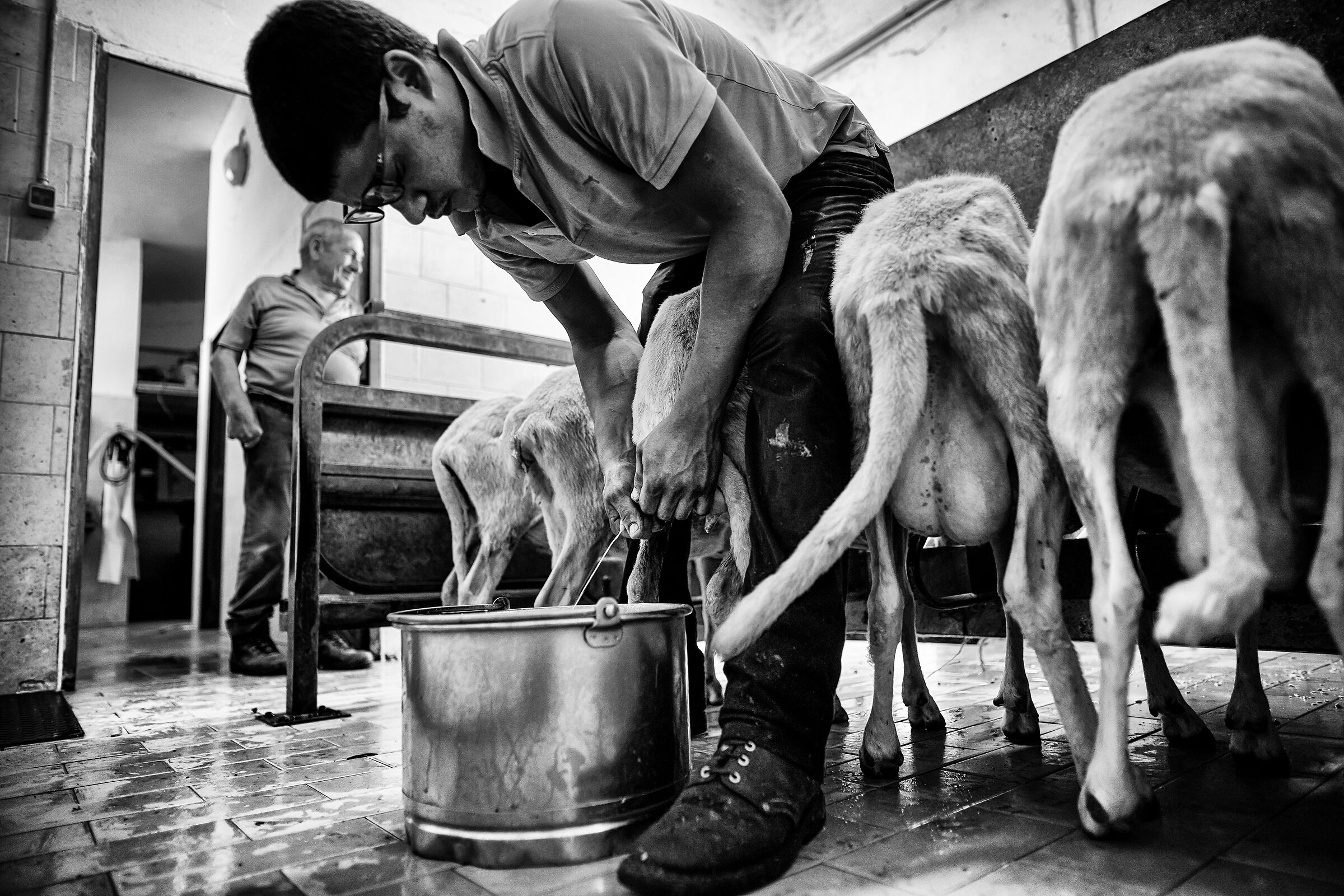 " Immagini dal cuore della Barbagia "