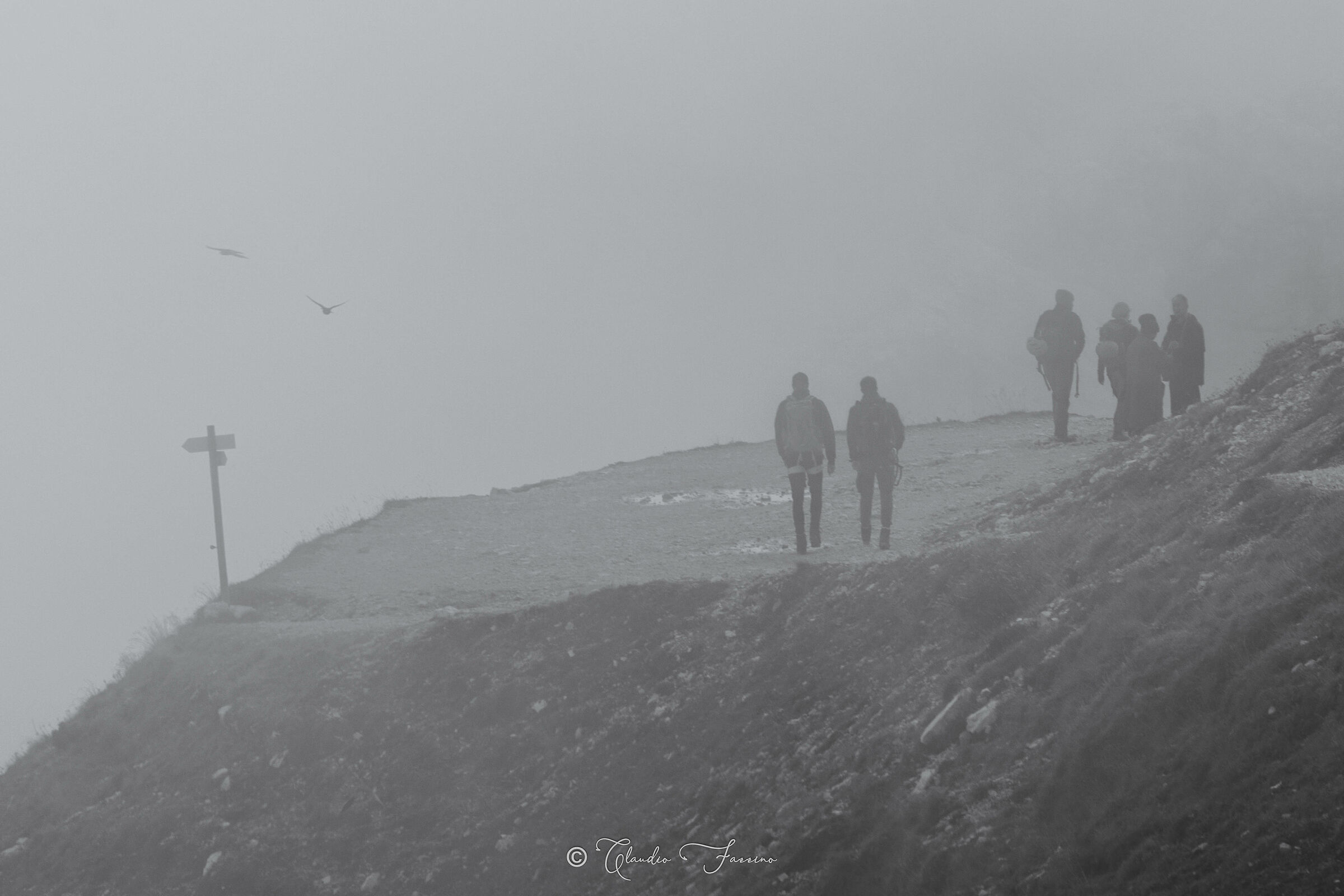 Sentieri nella nebbia