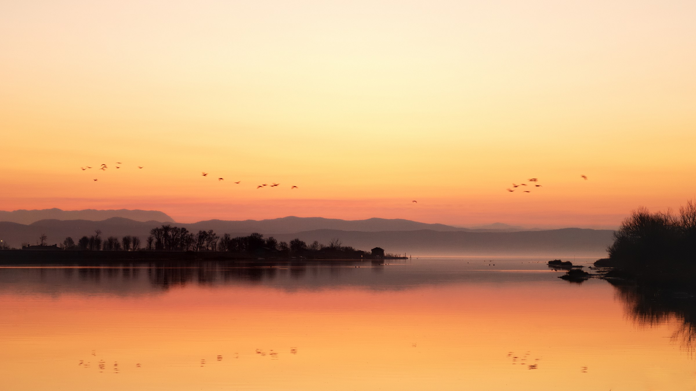 alba all'isola della cona