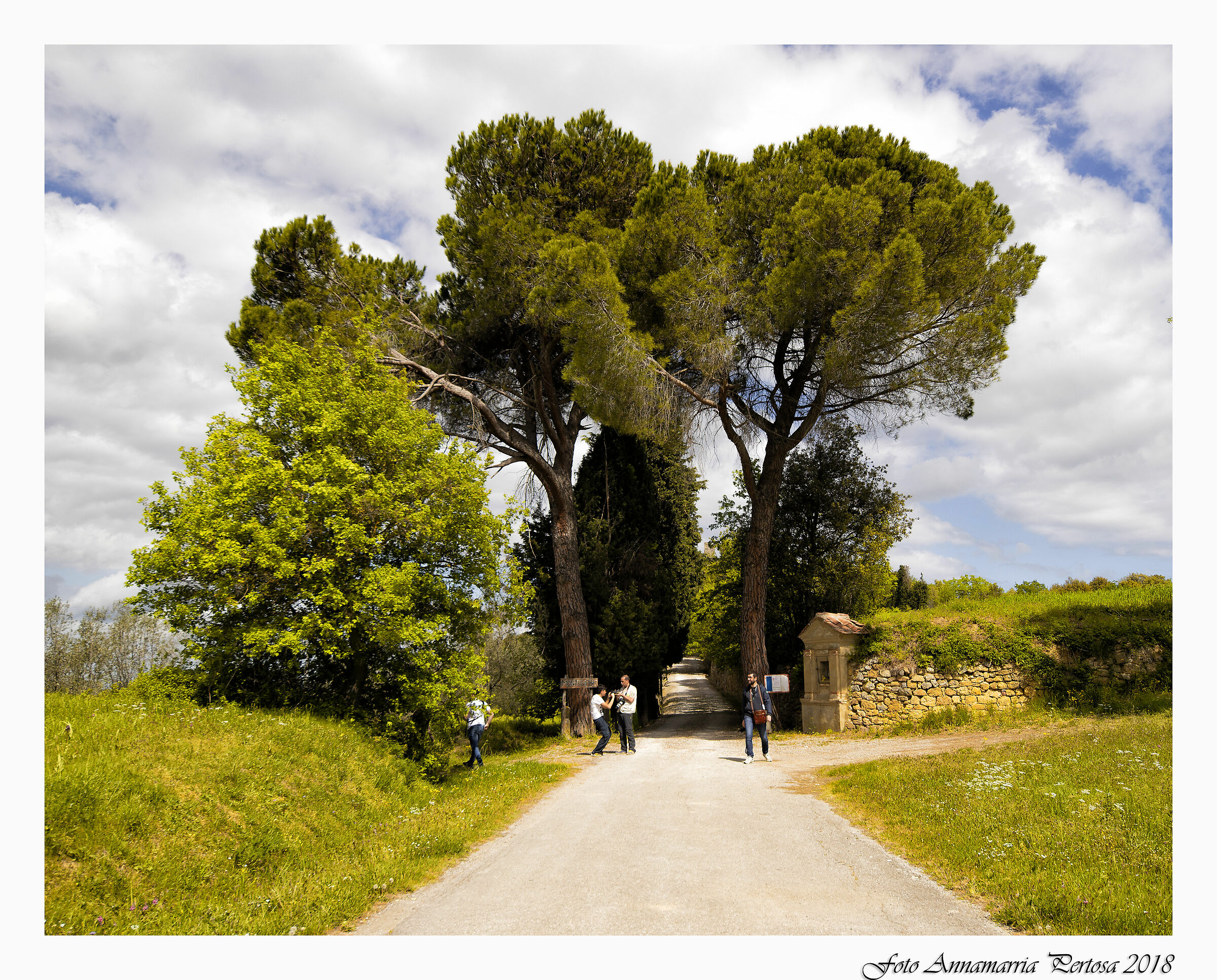 Amici juzzini in Val d'Orcia