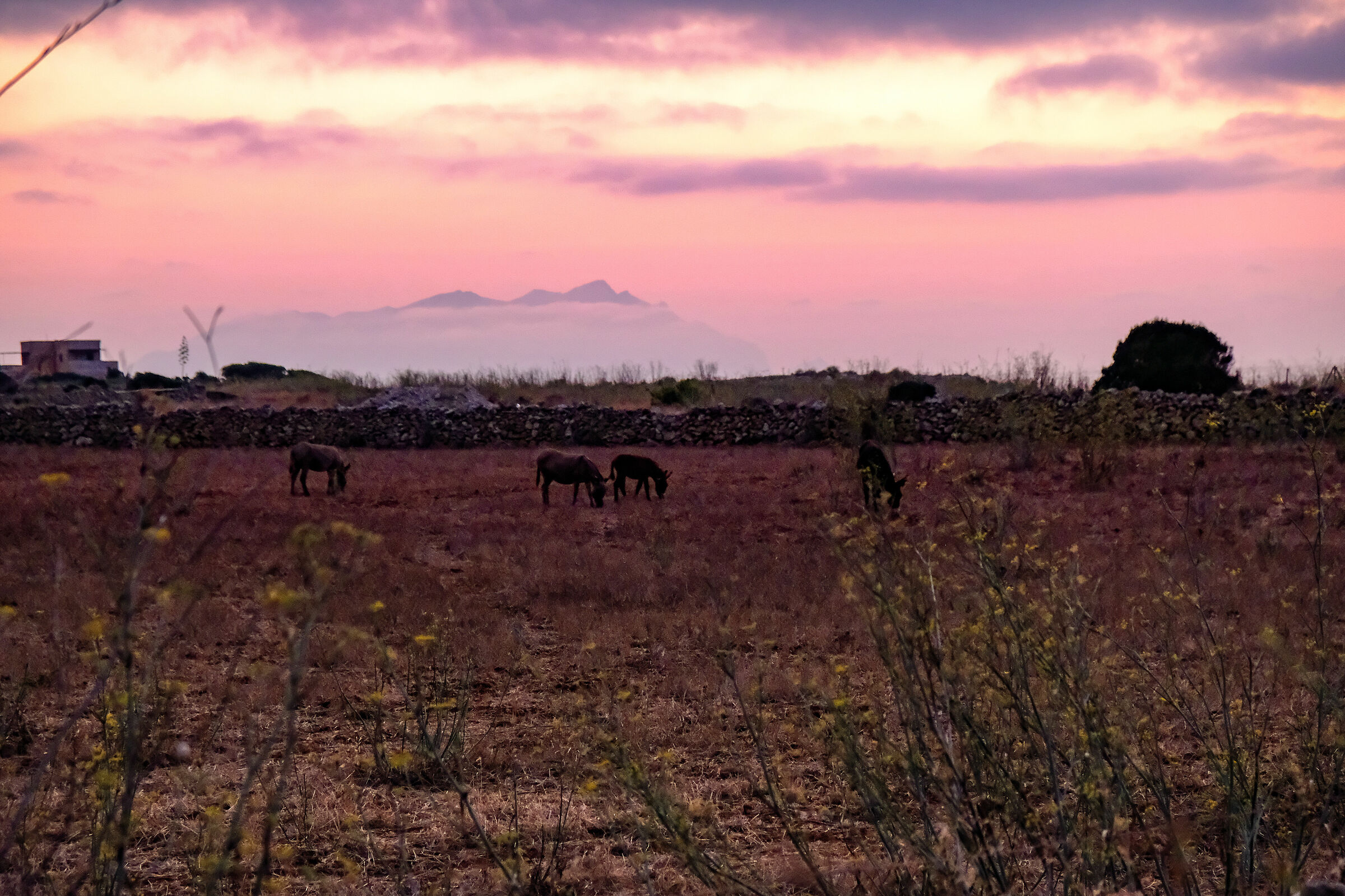 tramonto a Favignana guardando Levanzo