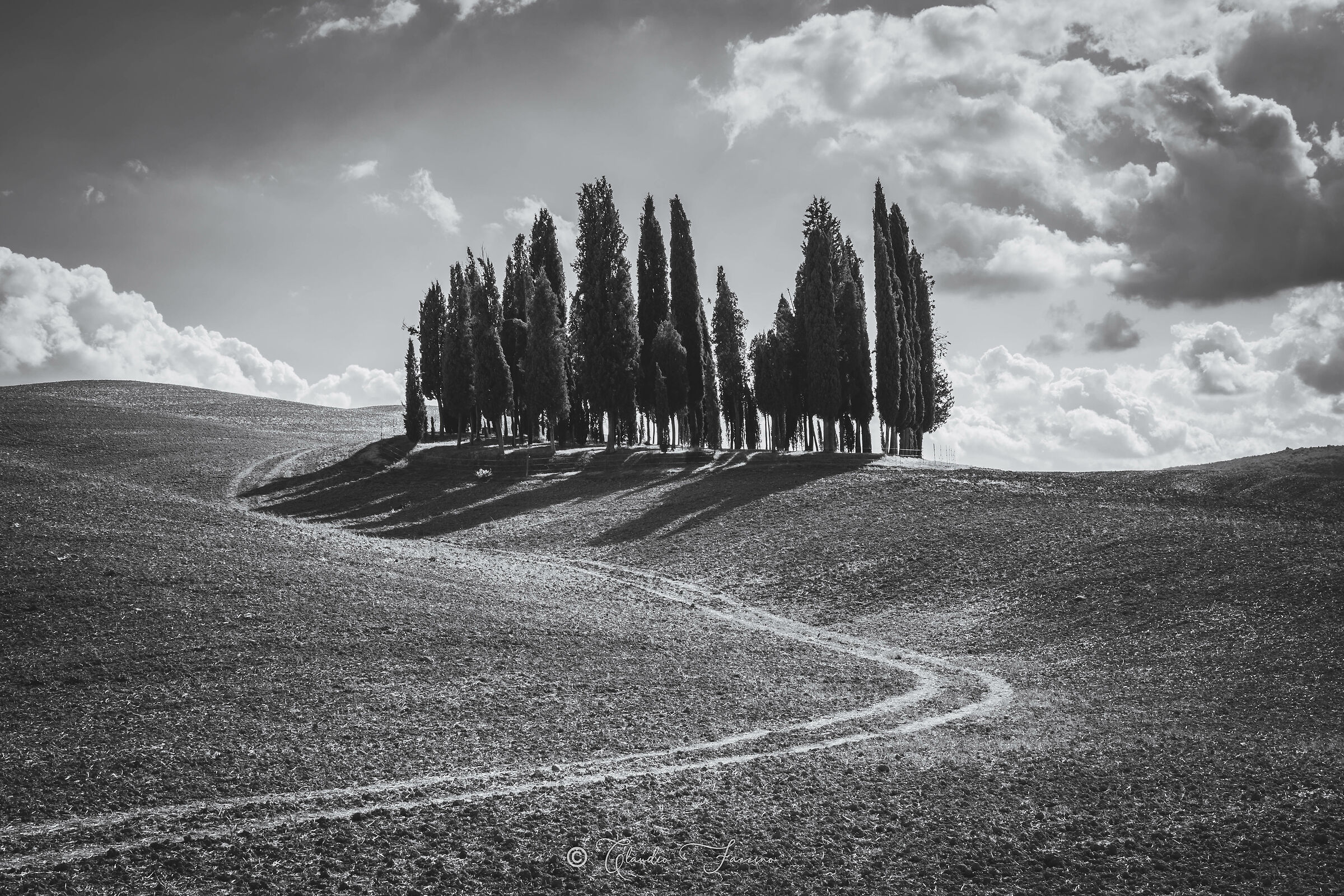 Va d'orcia: I cipressi di San Quirico