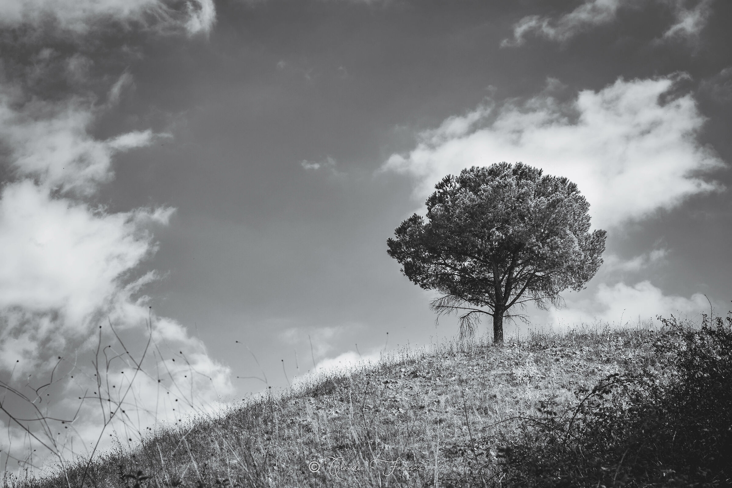 Sulla collina