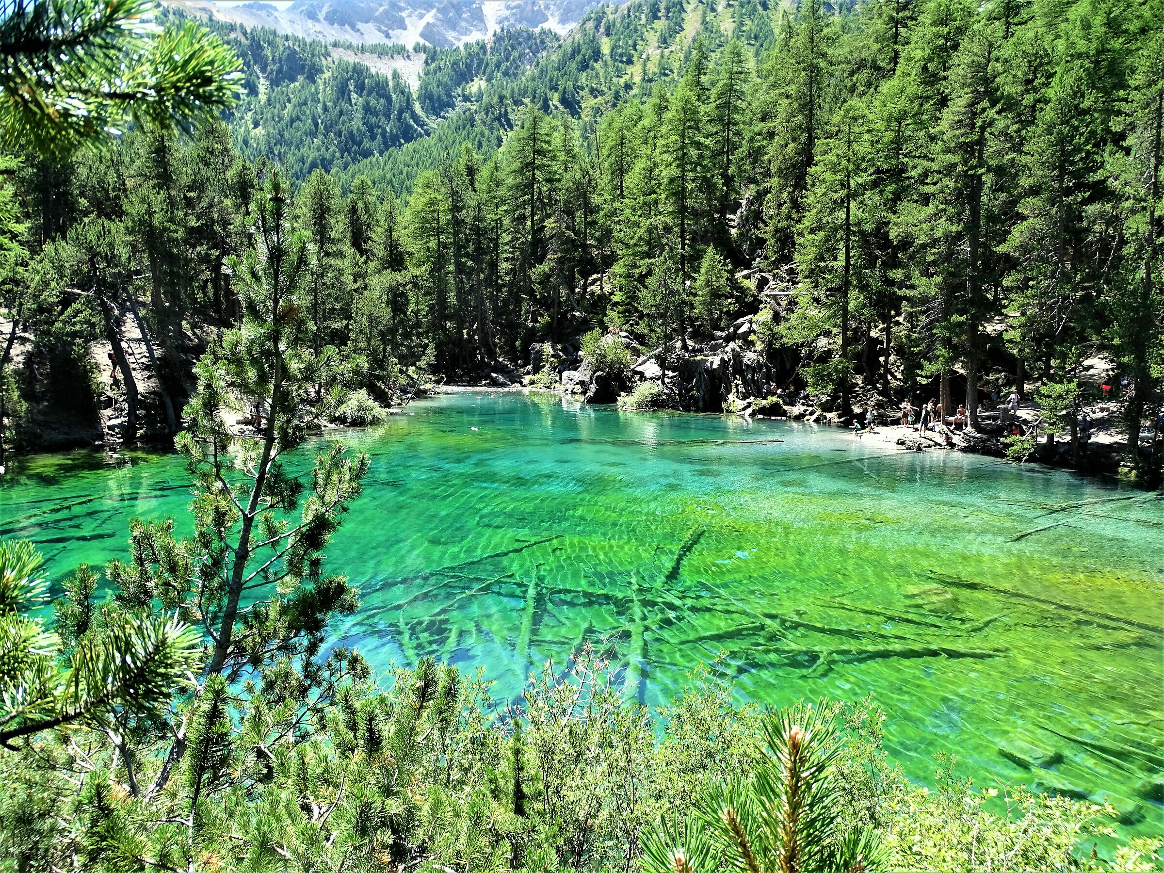 lago verde bardonecchia 2020