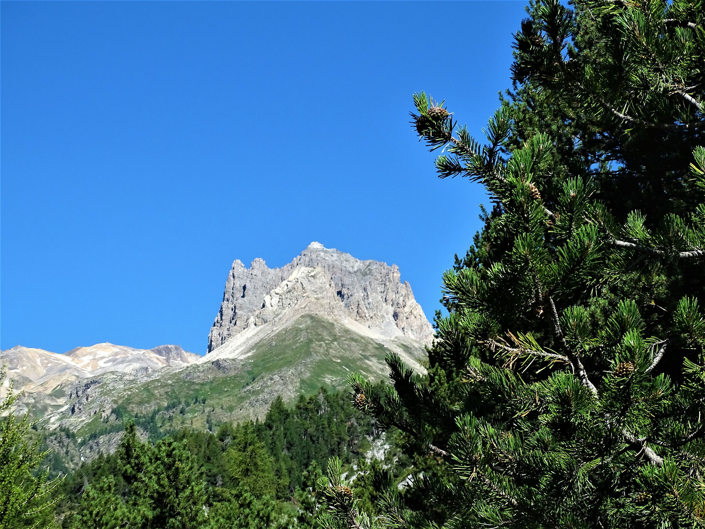 monte thabor bardonecchia
