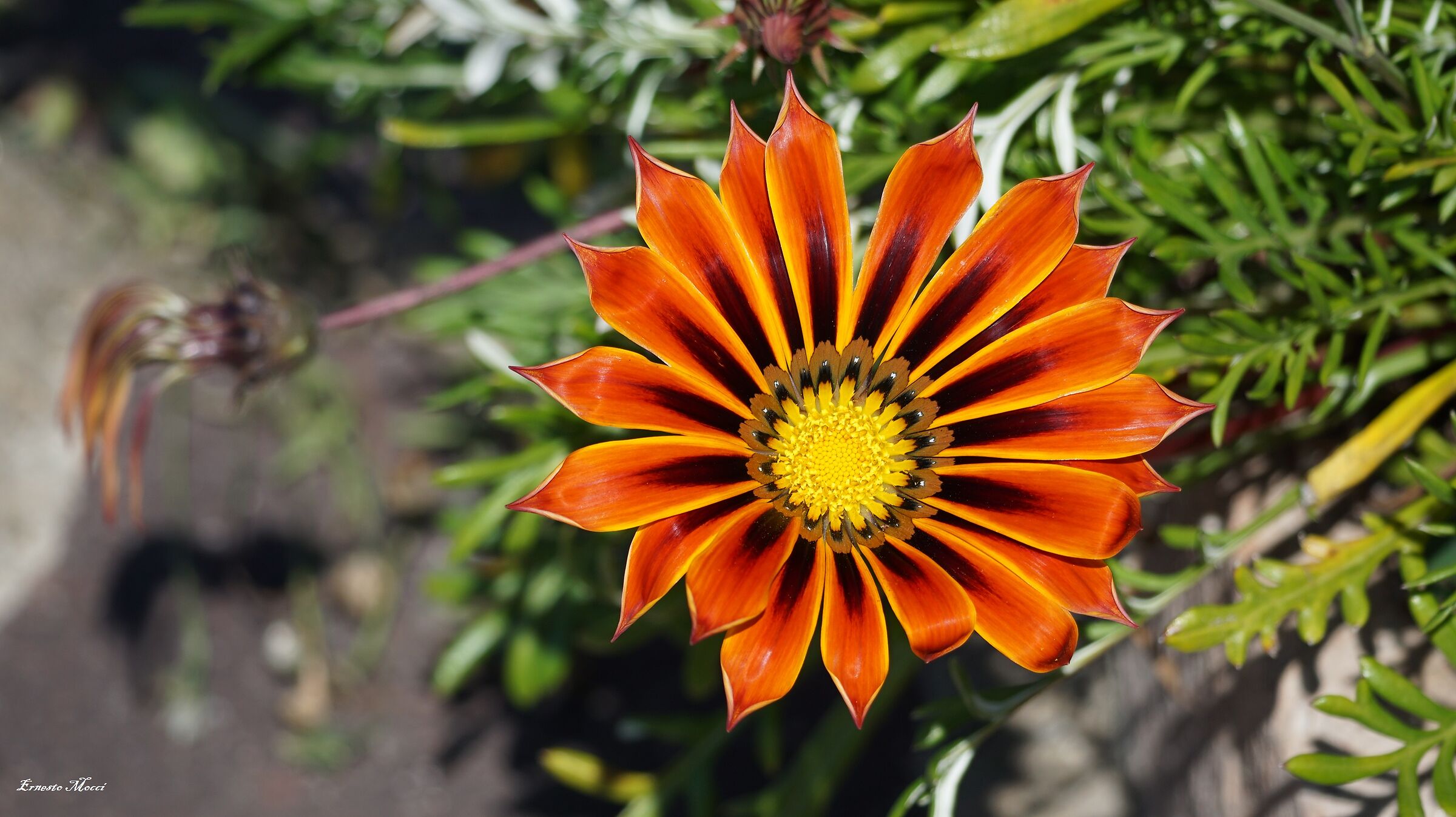 Cerco di capire quello Che non so ..…