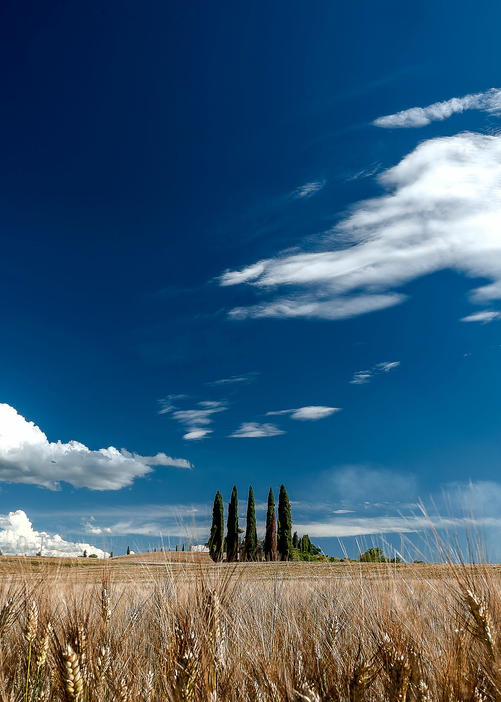 small cemetery val d'orcia 2
