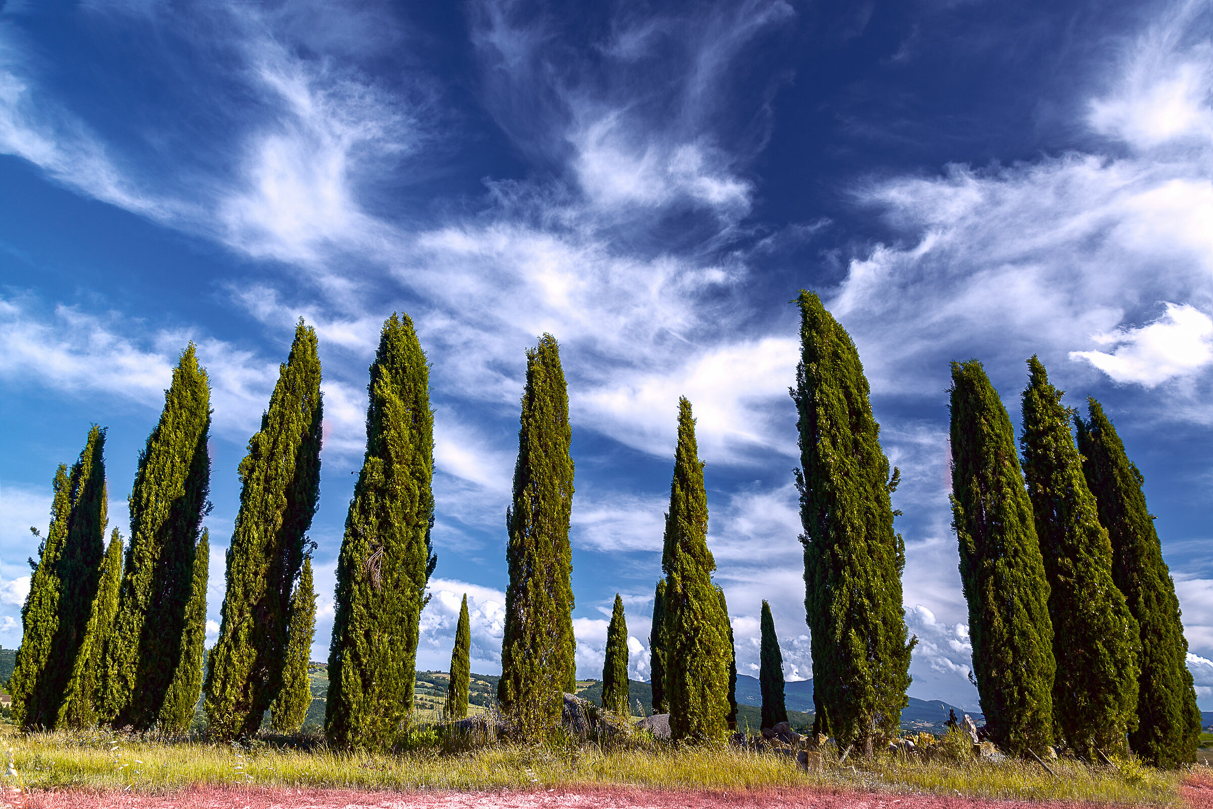 val d'orcia near San quirico