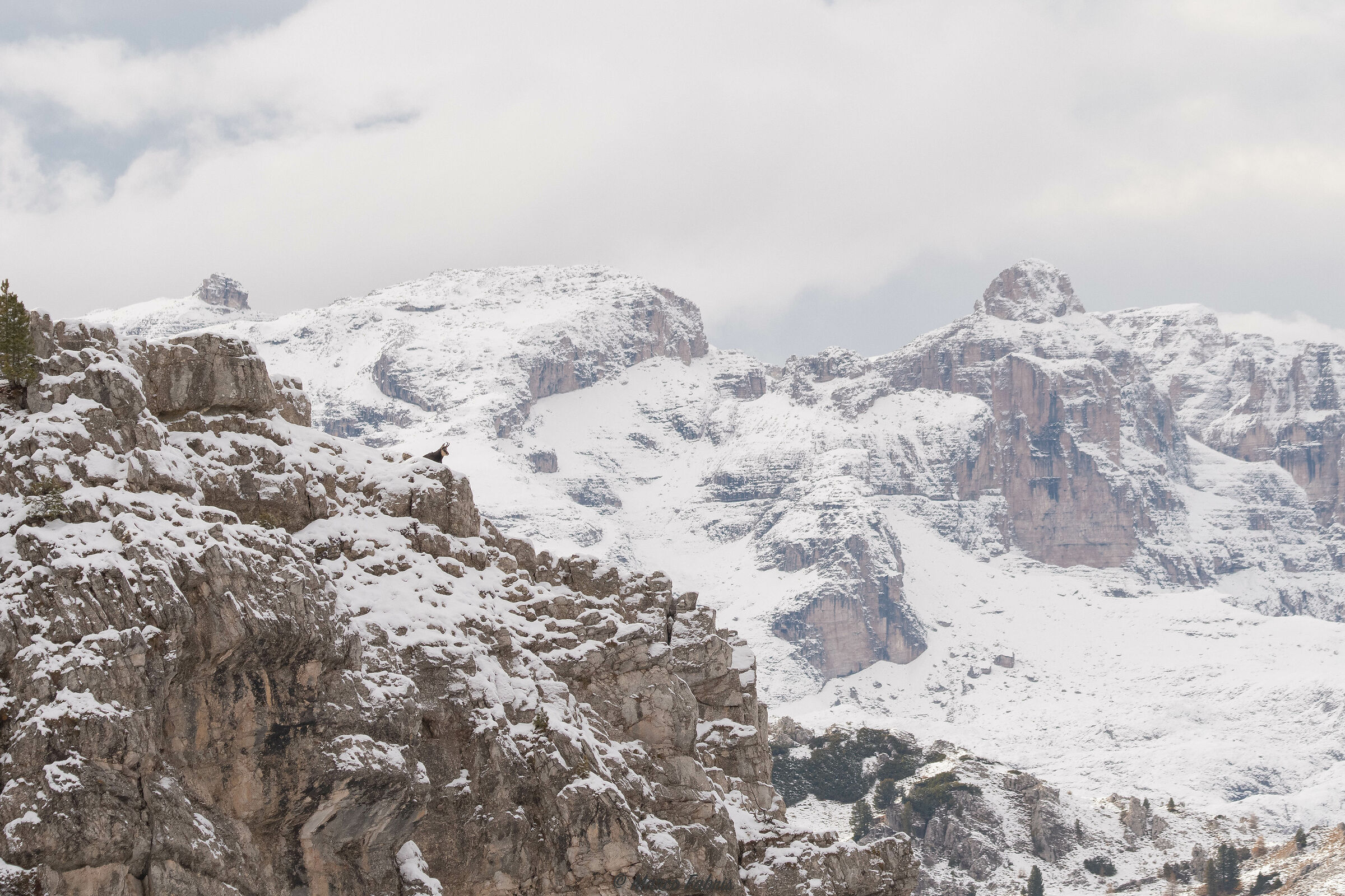 Look at the Dolomites...