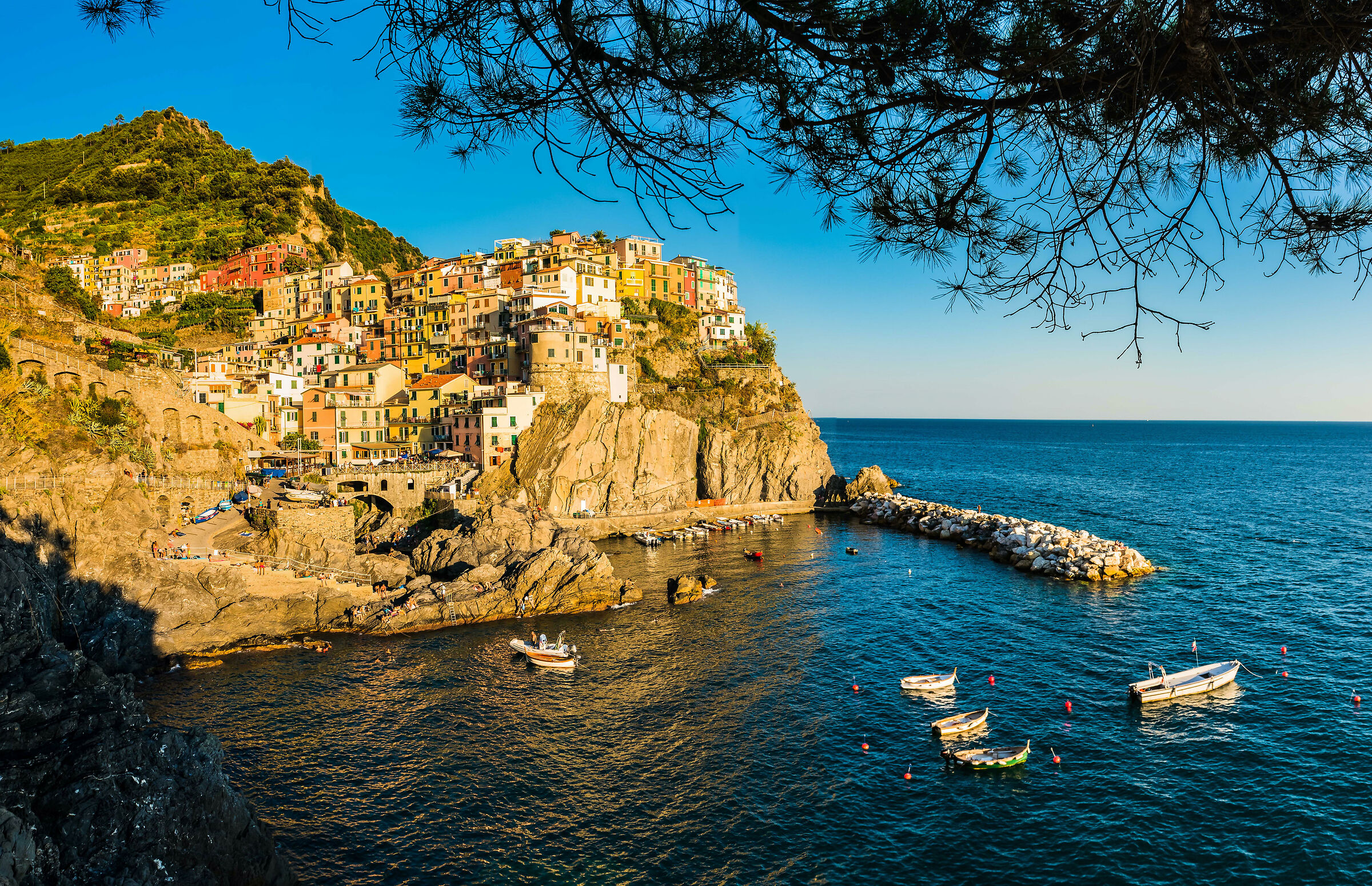 Manarola