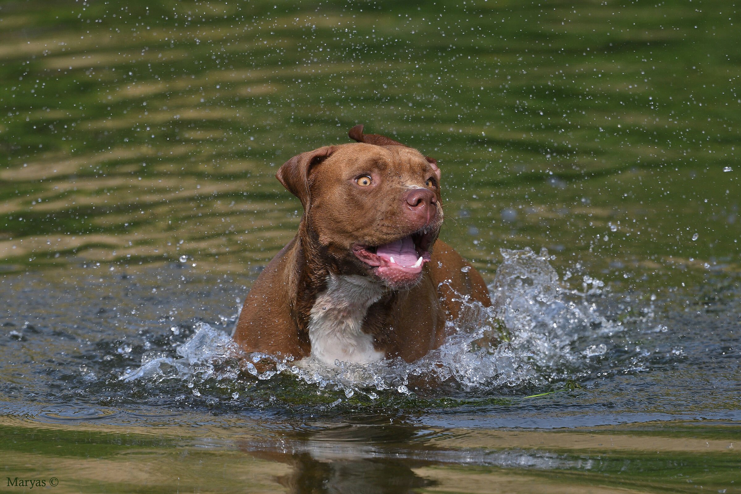 Un pò di privacy, please !!!