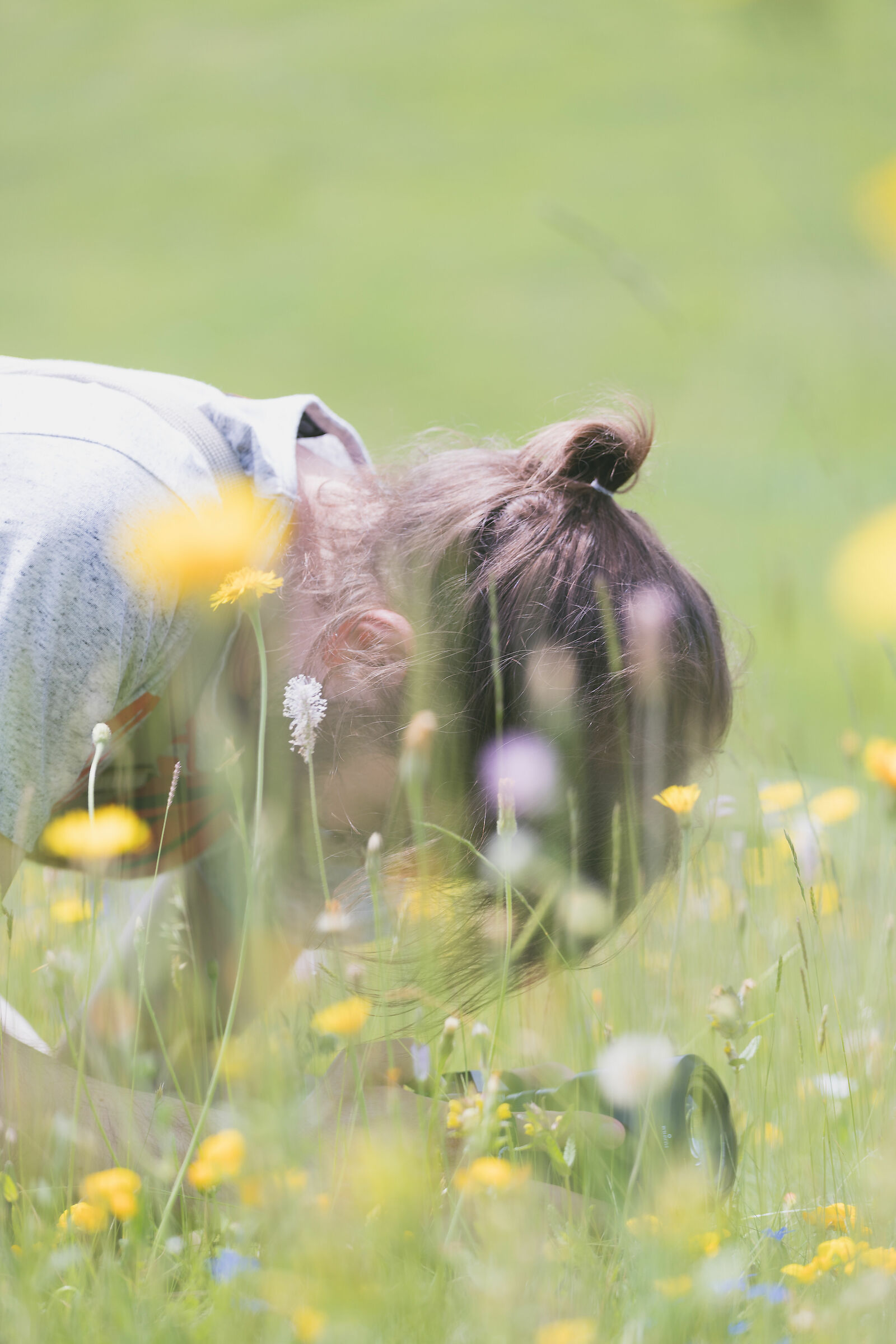 Taking macros in Castelluccio (2019)