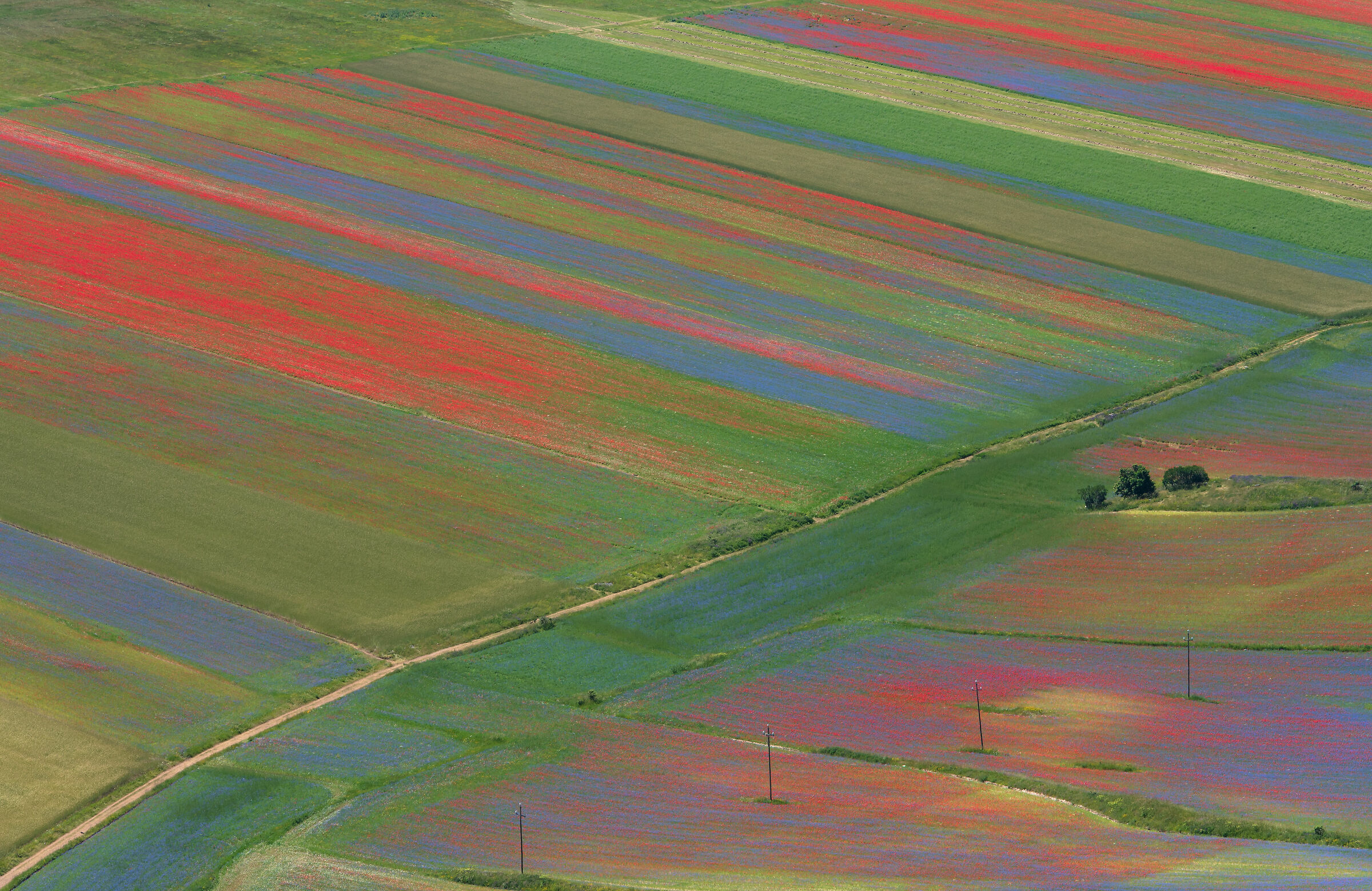 la strada tra i colori