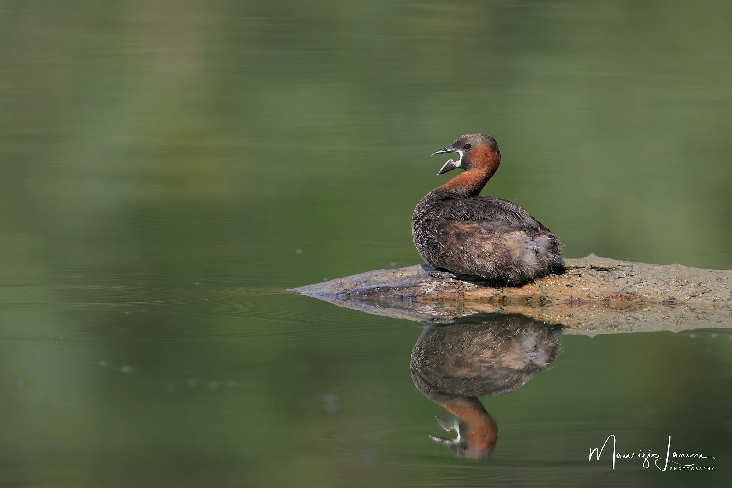 Reflections