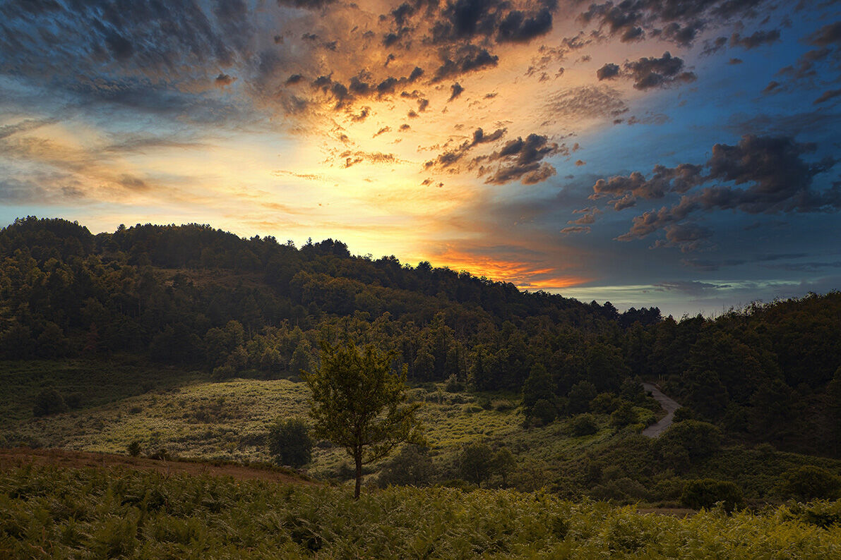 Argimusco Montalbano Elicona Sicilia