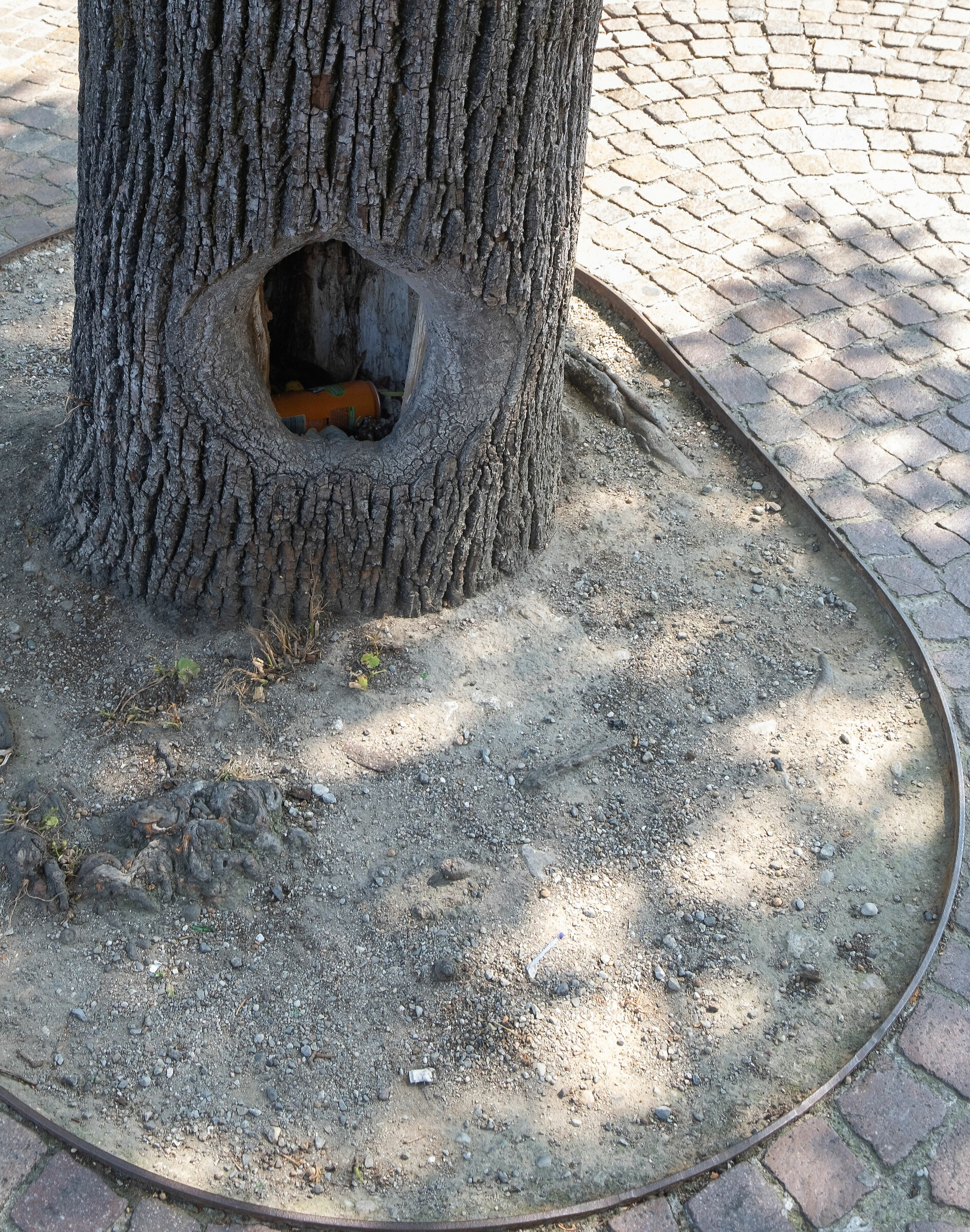 cestino per maleducati