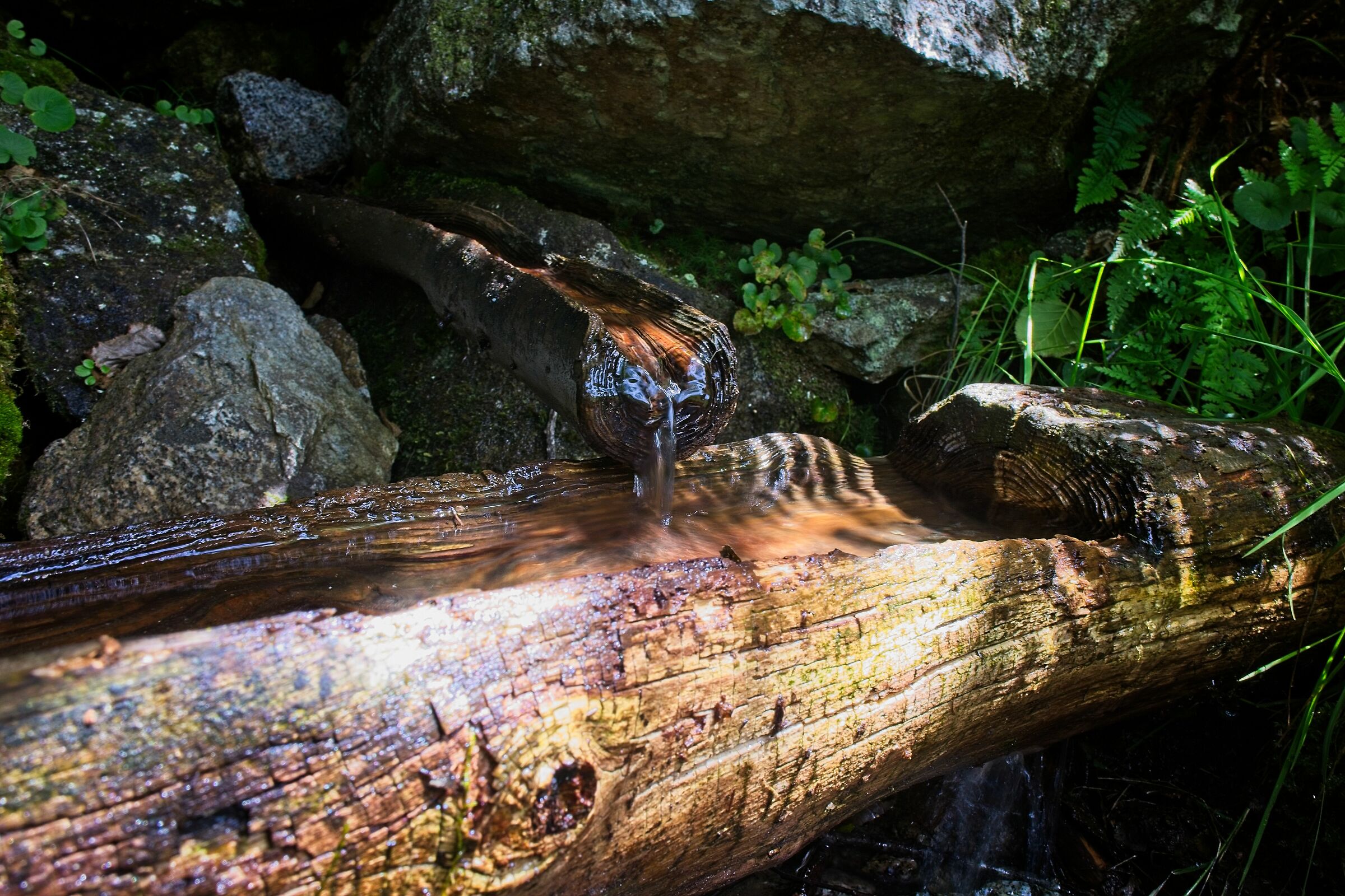Legno e acqua