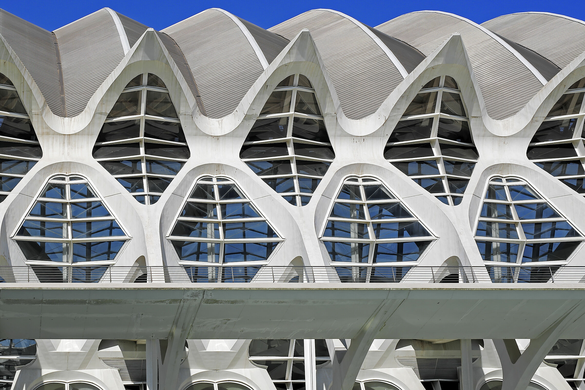 Ciutat de les arts i les ciències  Santiago Calatrava