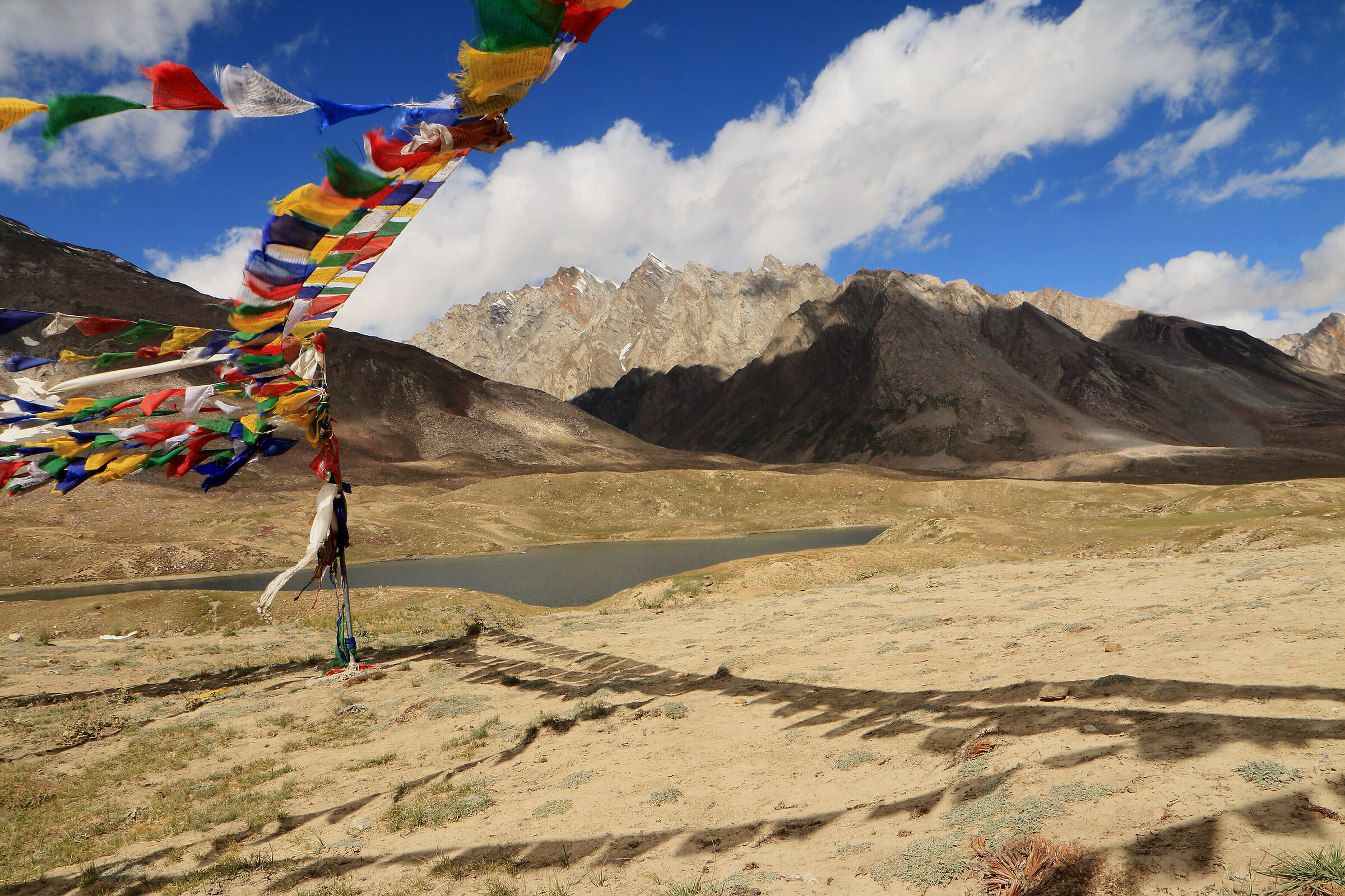 among the winds of penzi-la