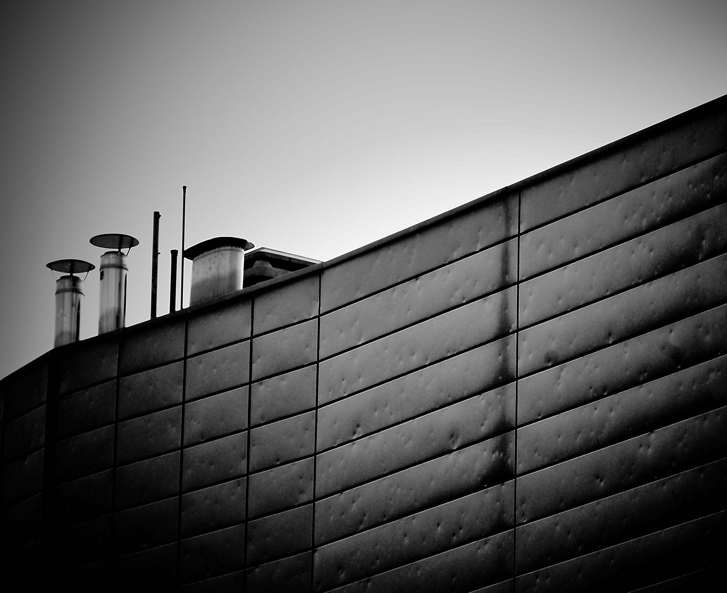 Untitled Photo