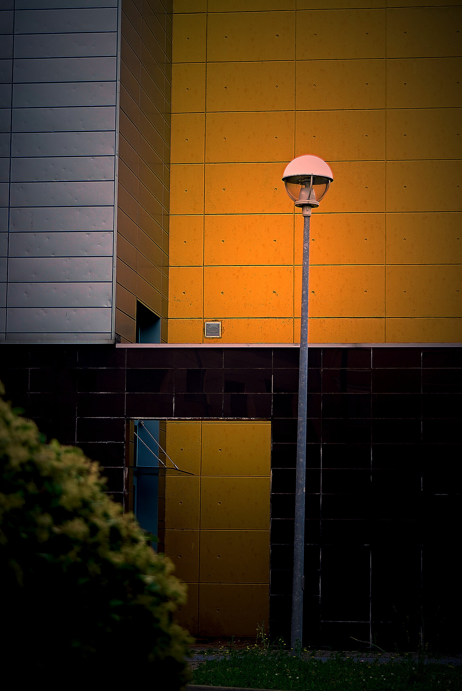 Untitled Photo