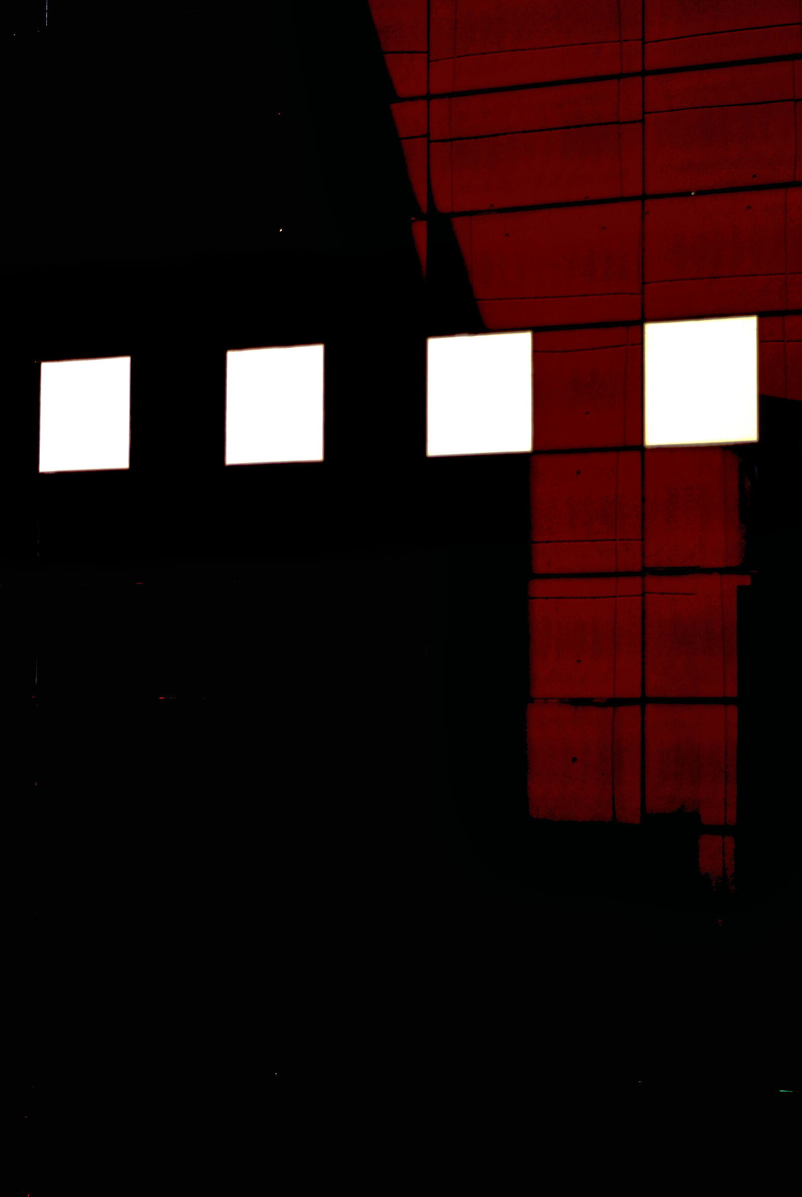 Untitled Photo